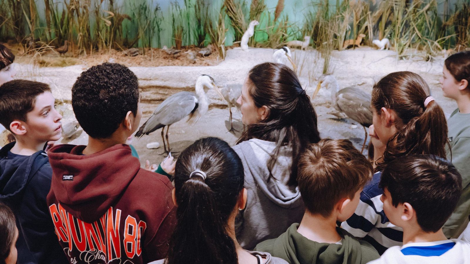 Visita do IES Xermán Ancochea a Santiago de Compostela