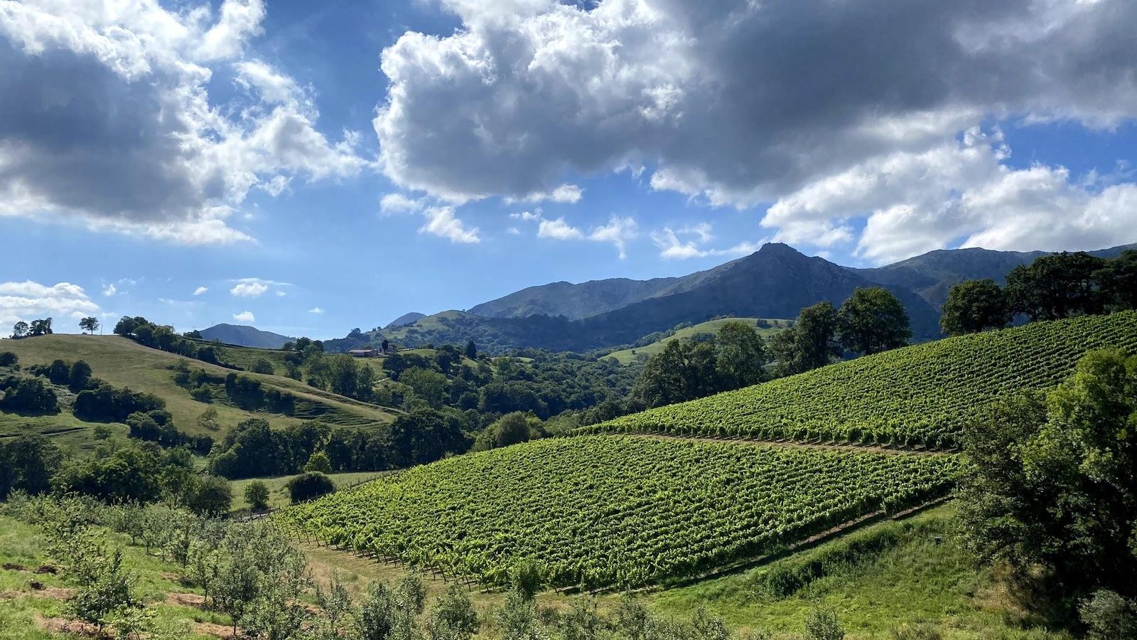 La Finca del Palacio de Nevares