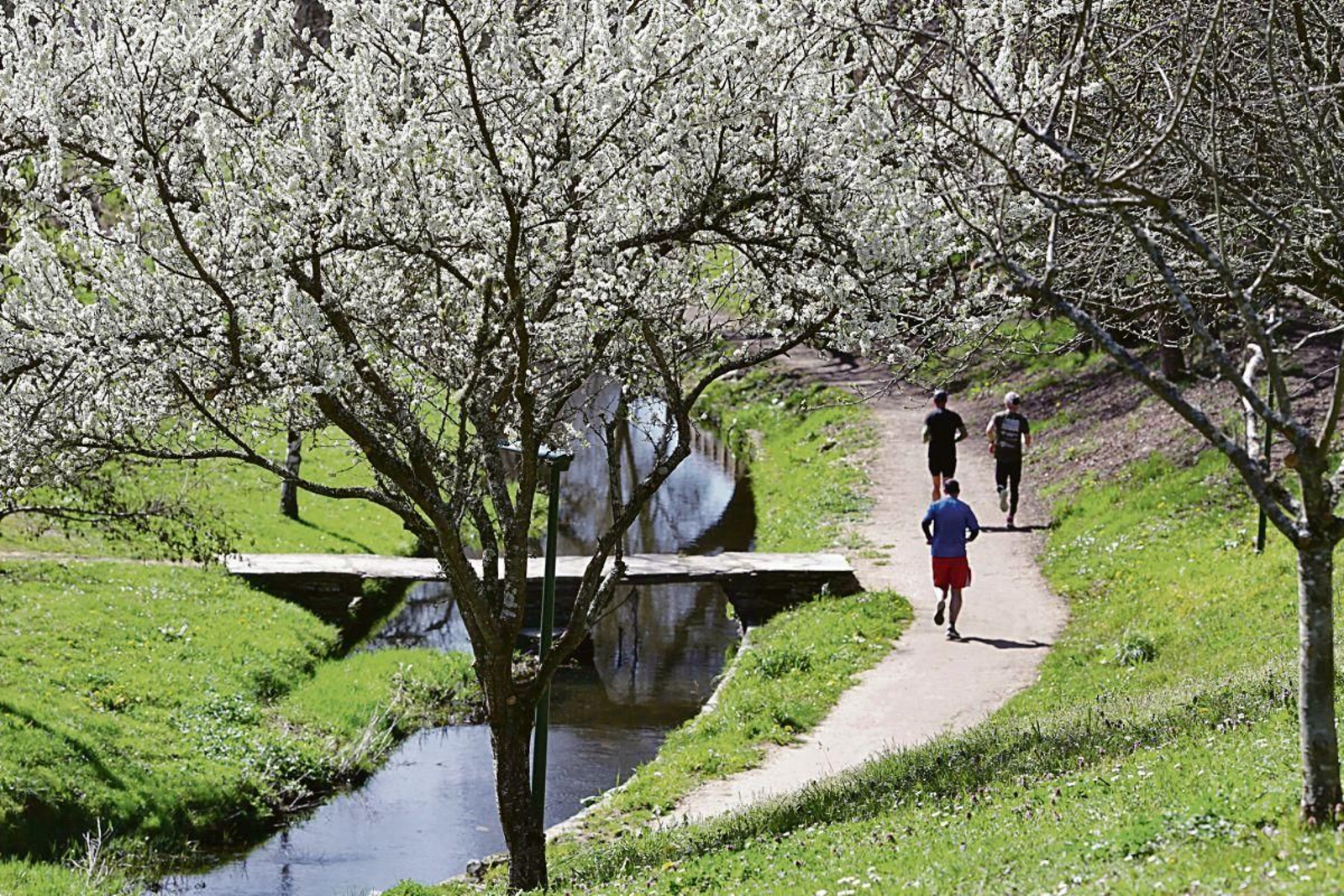 Varias personas hacen footing el día que comienza la primavera de 2023 en Lugo.