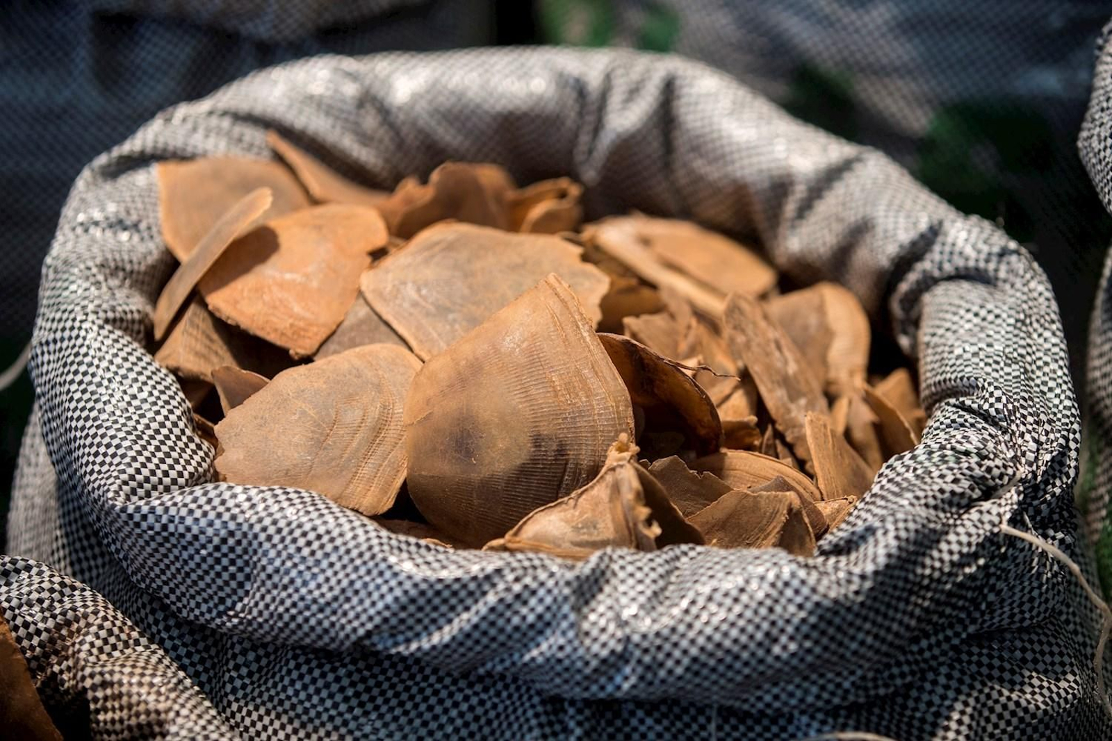 7ccba581c7becb72b31b138688cd3c18160c430e