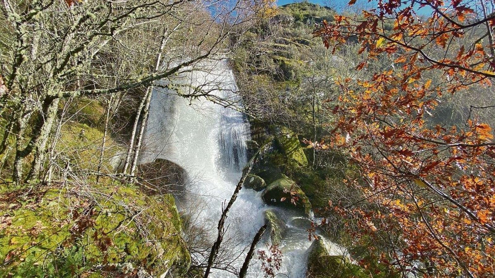 Fervenza de Dorelle, Chandrexa de Queixa.
