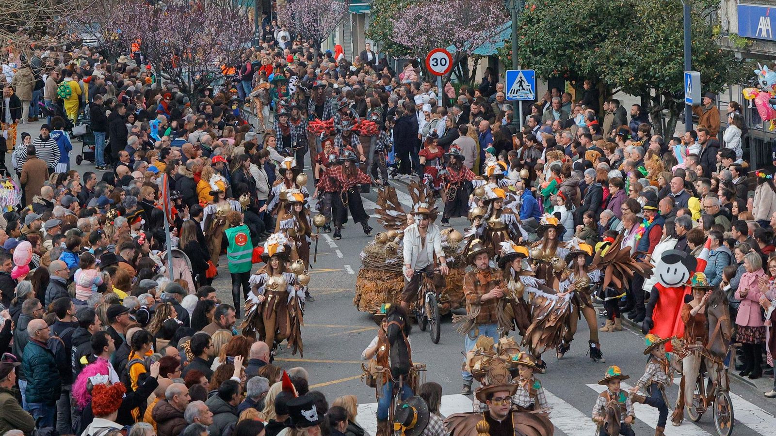 Galería | Desfile de disfraces en el Entroido de Redondela 2025