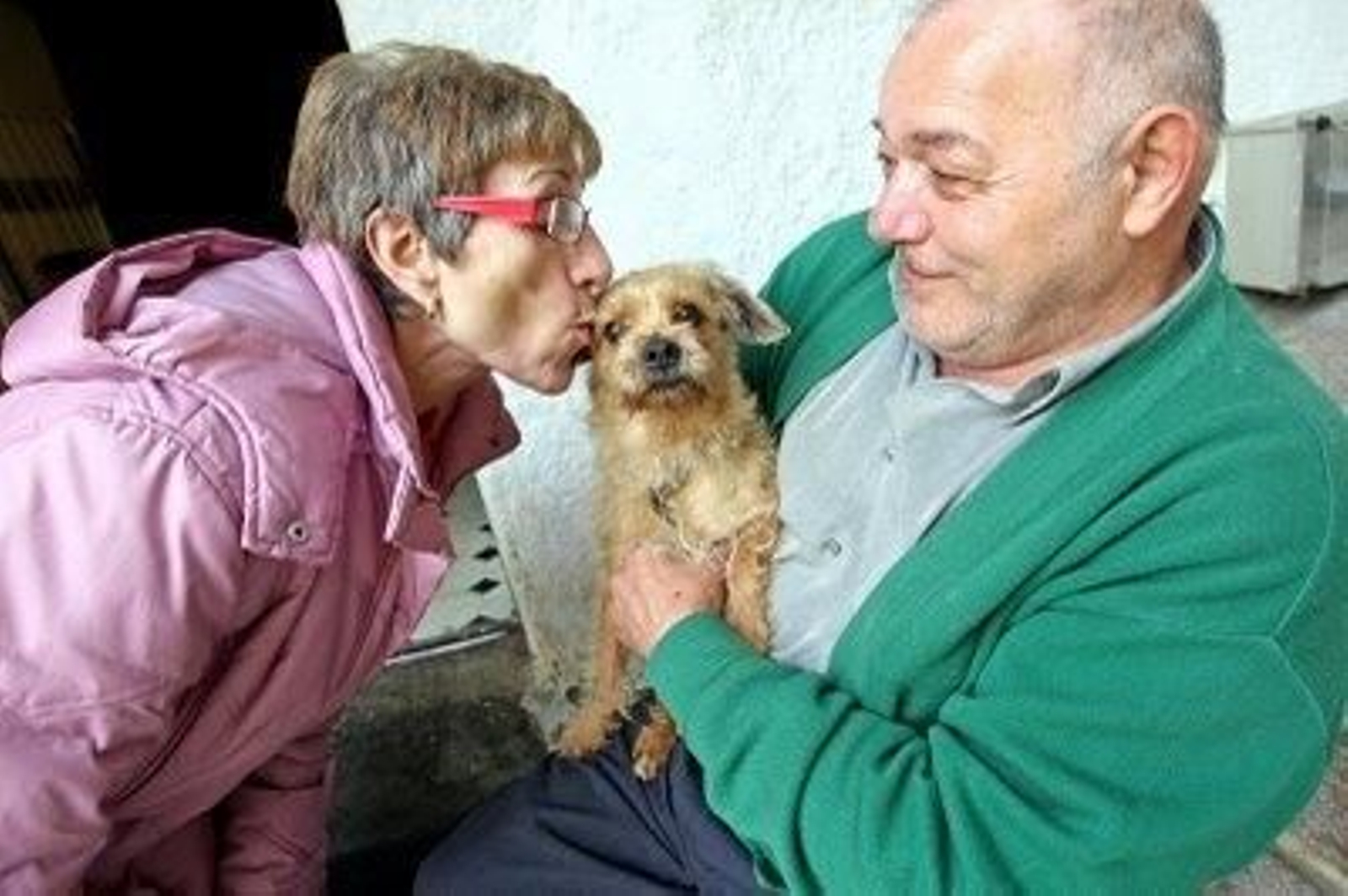 Golfo se reencontró con sus dueños gracias al blog de vigomascotas.