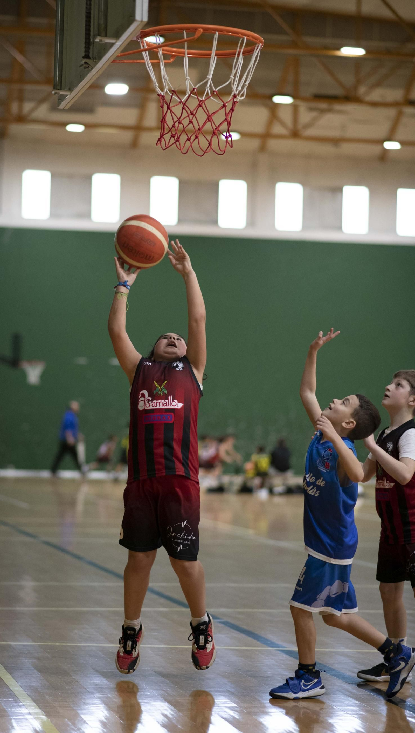 Galería | Concentración de Minibasket en Verín