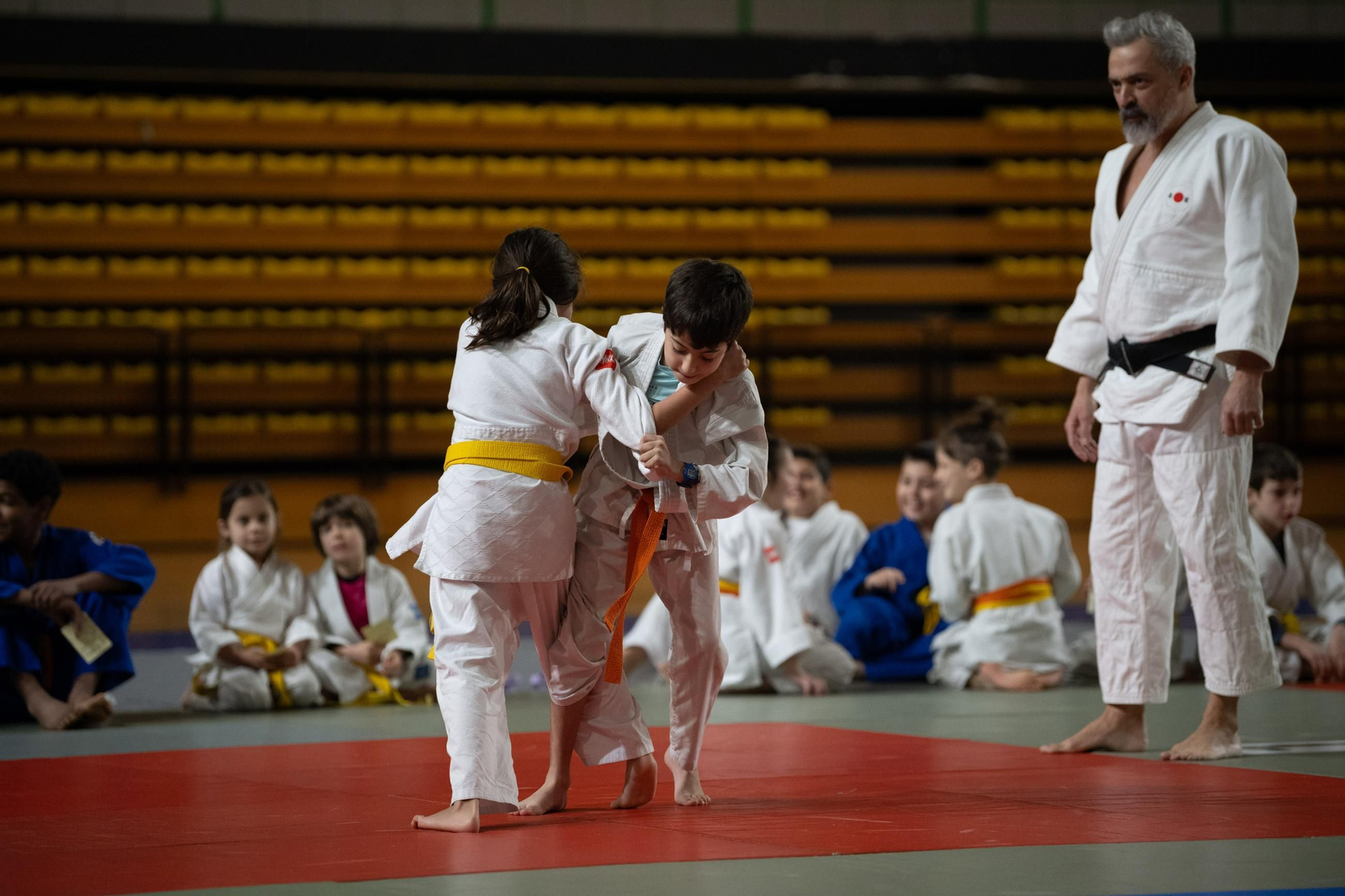 Galería | El judo arranca una edición más de su Copa Diputación