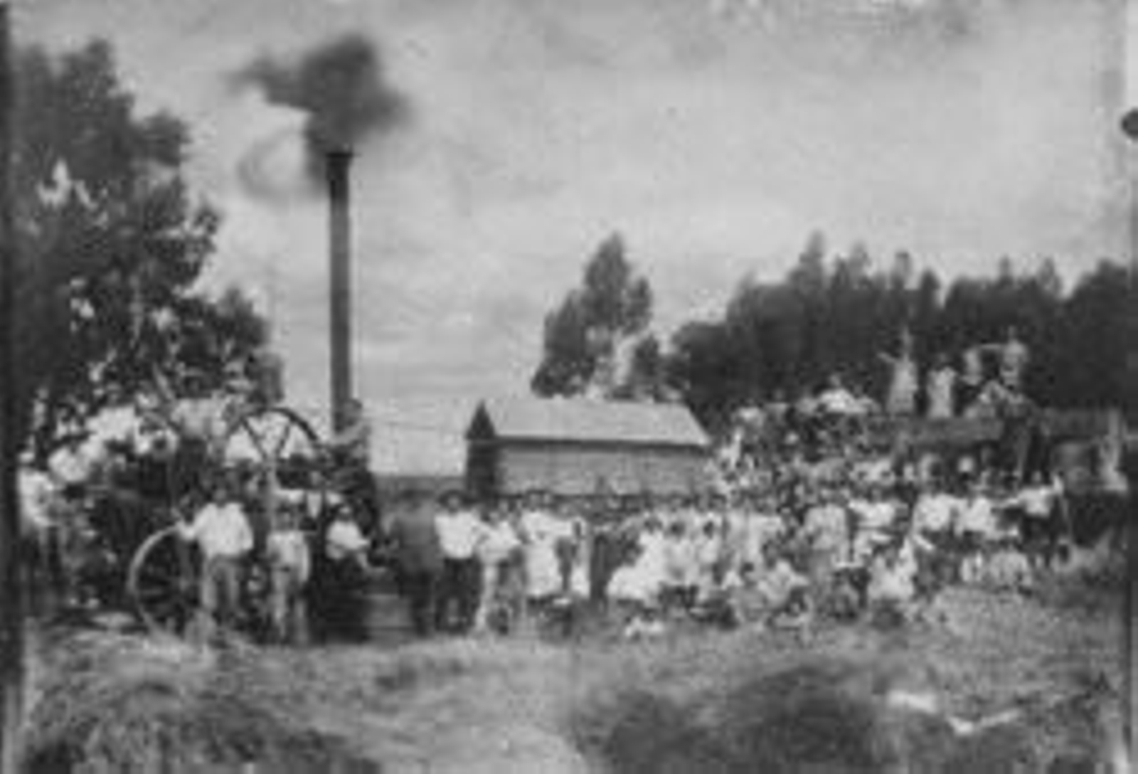 Trabajadores en una empresa canaria en el municipio de Canelones, en Uruguay.