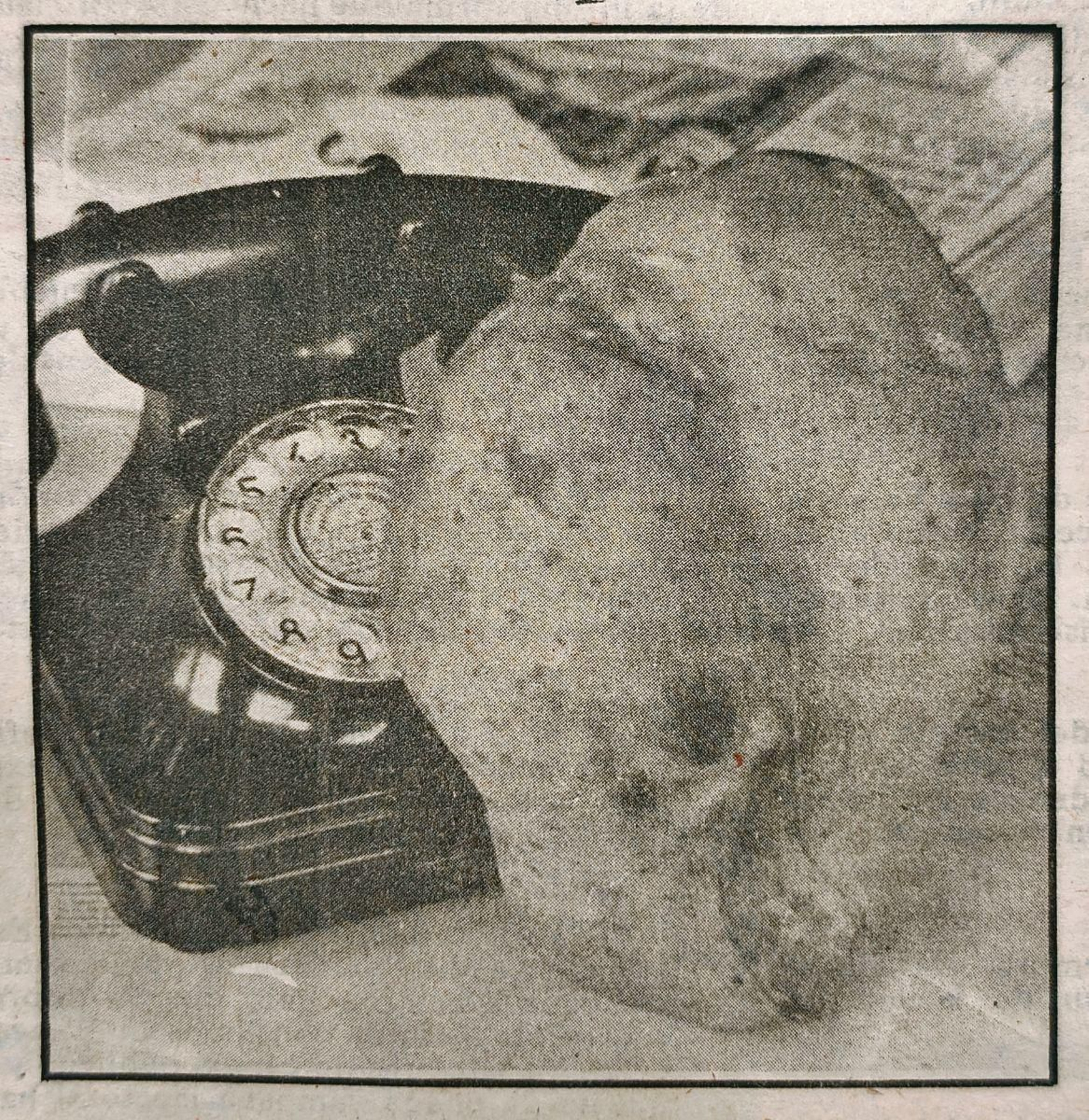 La enorme patata, junto a un teléfono.