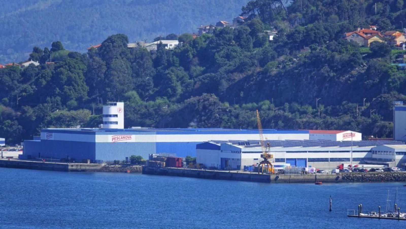 Instalaciones que el grupo Nueva Pescanova, primera pesquera en España, tiene en Chapela. Abanca es su propietaria con el 97% del capital.