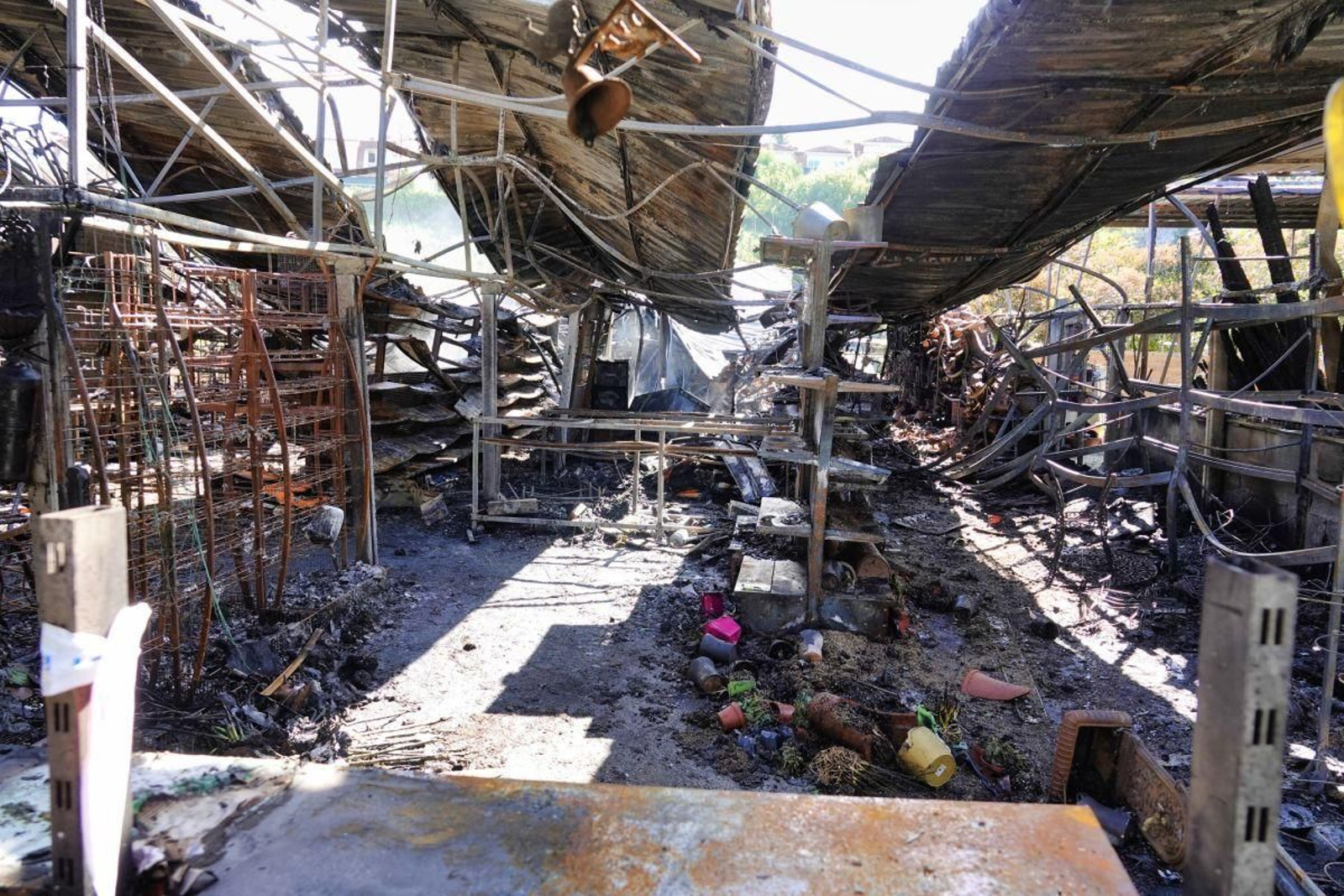 Así quedó el interior del vivero, arrasado por el incendio del domingo.