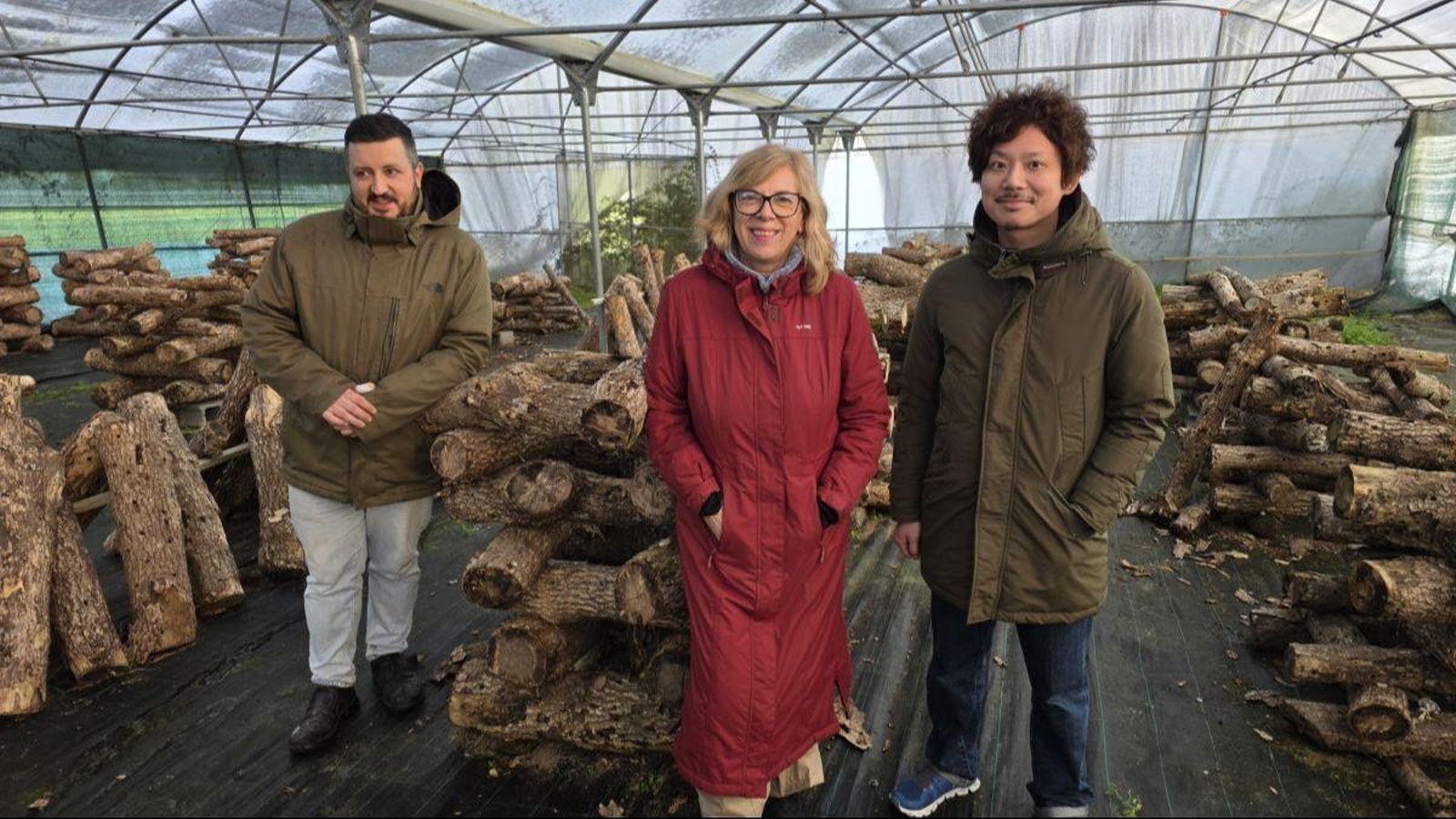 El japonés visitó, acompañado por Anxo, la explotación Shiitake Trives de Geli González.