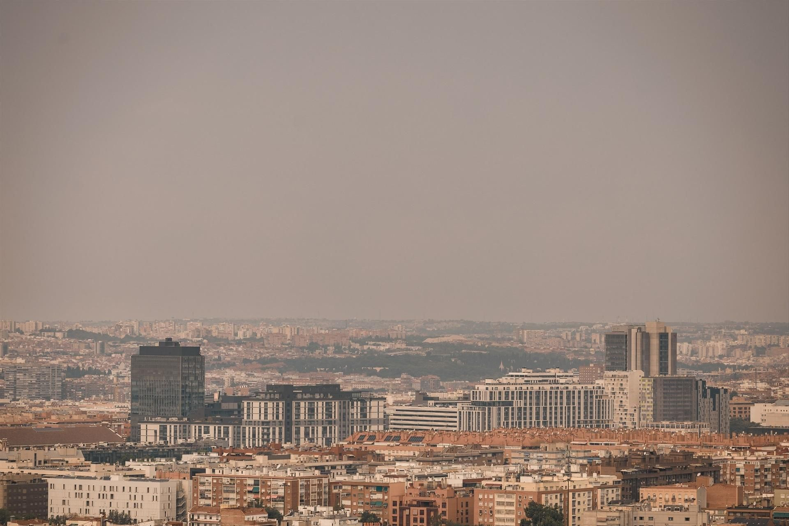 Galería | Madrid vive el incendio forestal más grande de su historia bajo un gran manto de humo