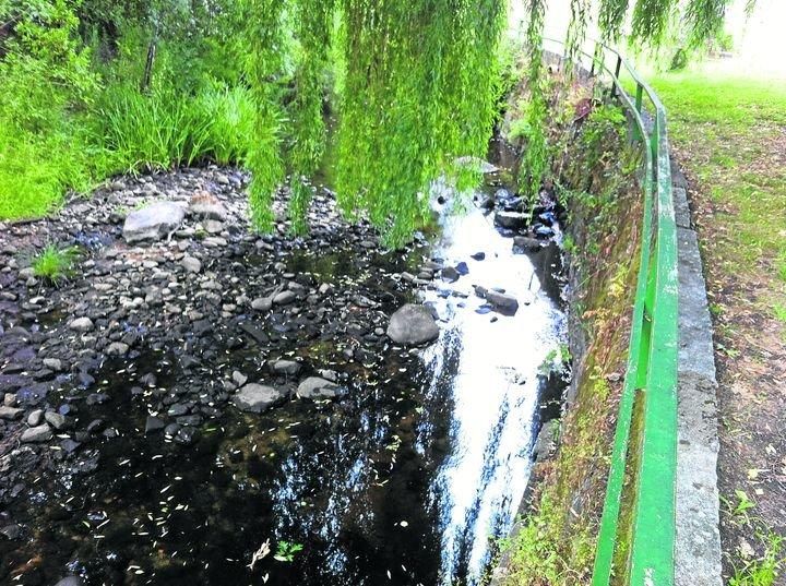 20170719210800891_result