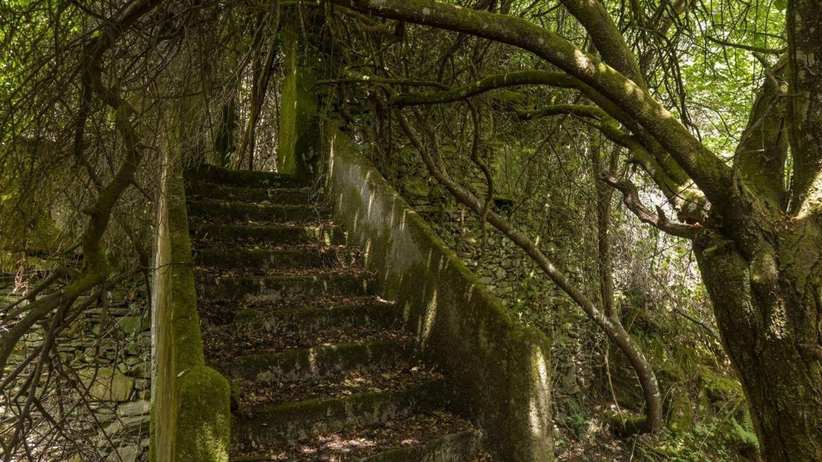 En primer plano se observan las ruinas de la antigua capilla de San Pacio o San Paio, en la entrada de Paradiña desde Infesta.