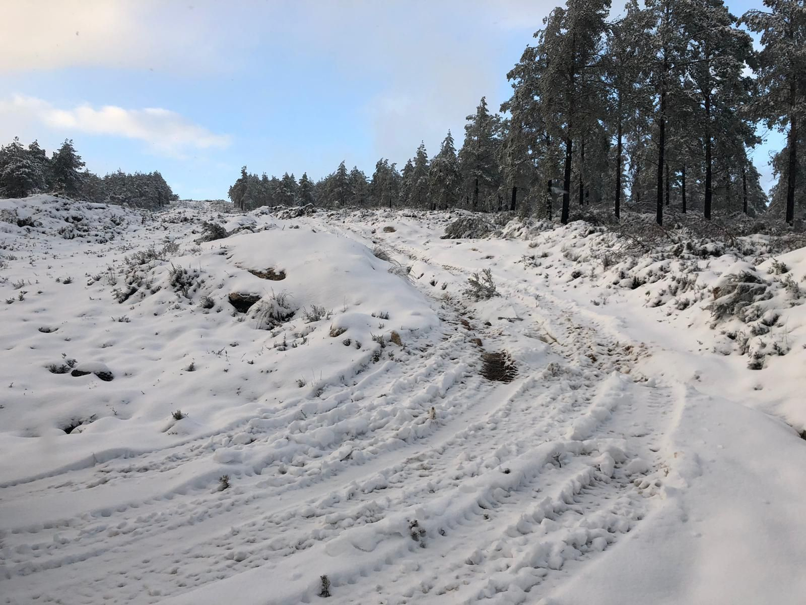 La nieve cubrió de blanco el Alto do Foxo