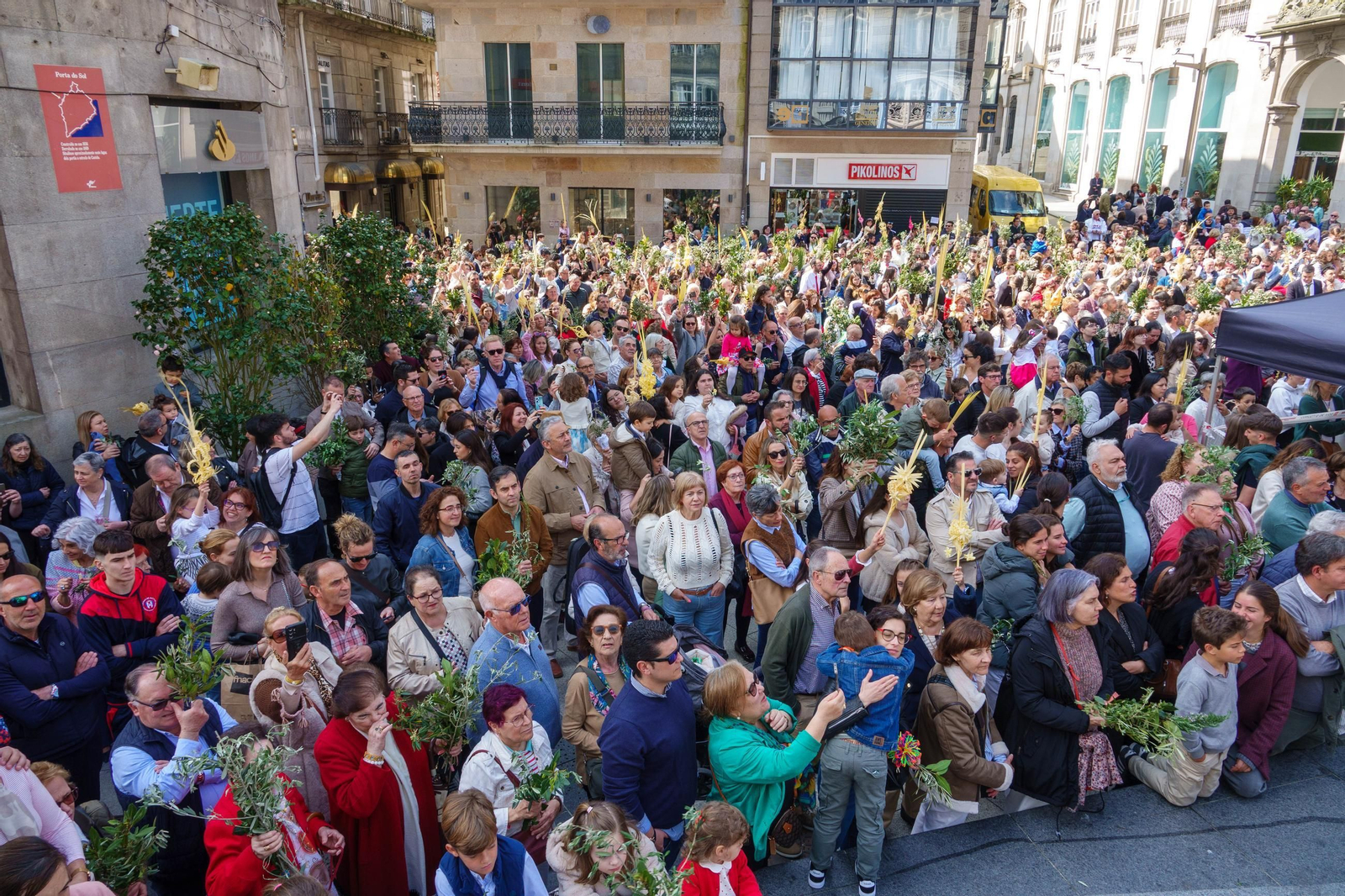 Galería | La procesión de la Borriquita 2025
