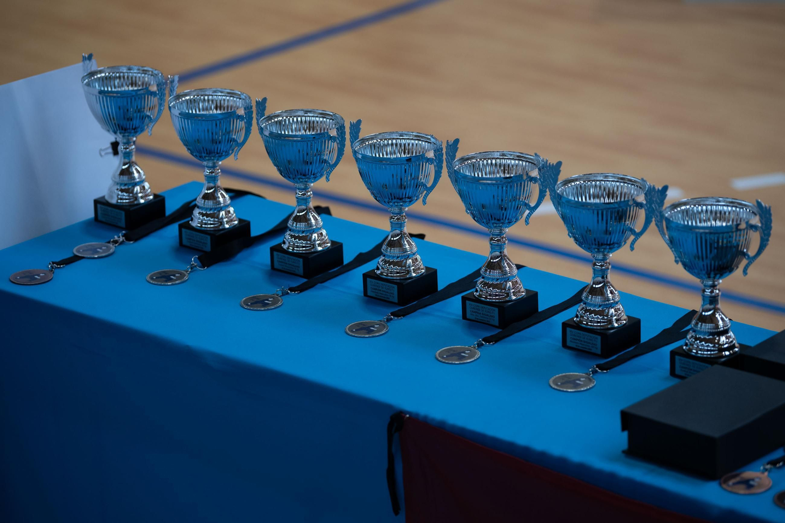 Galería | EL Kung Fu ourensano celebra su Copa Diputación centrada en los más pequeños