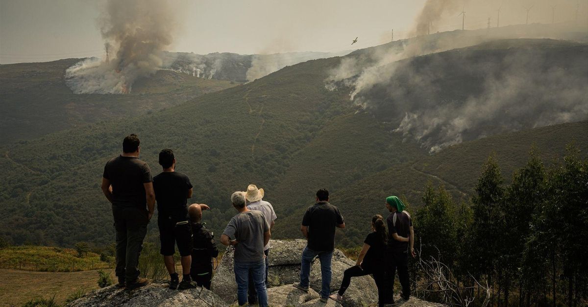 Todas las ayudas de la Xunta por los incendios publicadas en el DOG y ...