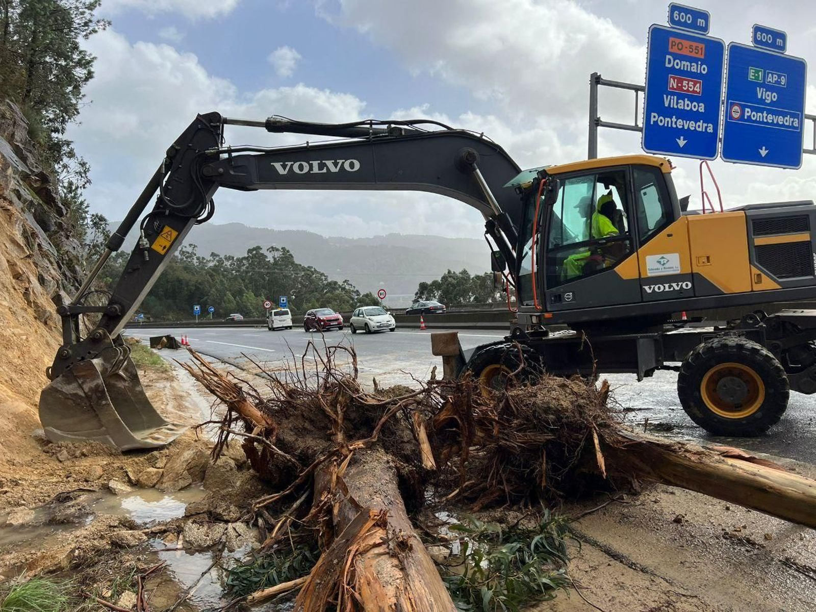 Una excavadora retira un árbol de la autovía de O Morrazo.