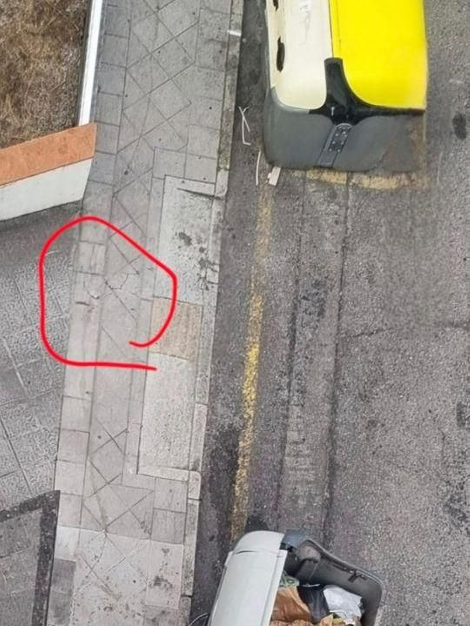 Alguien debería echarle un ojo