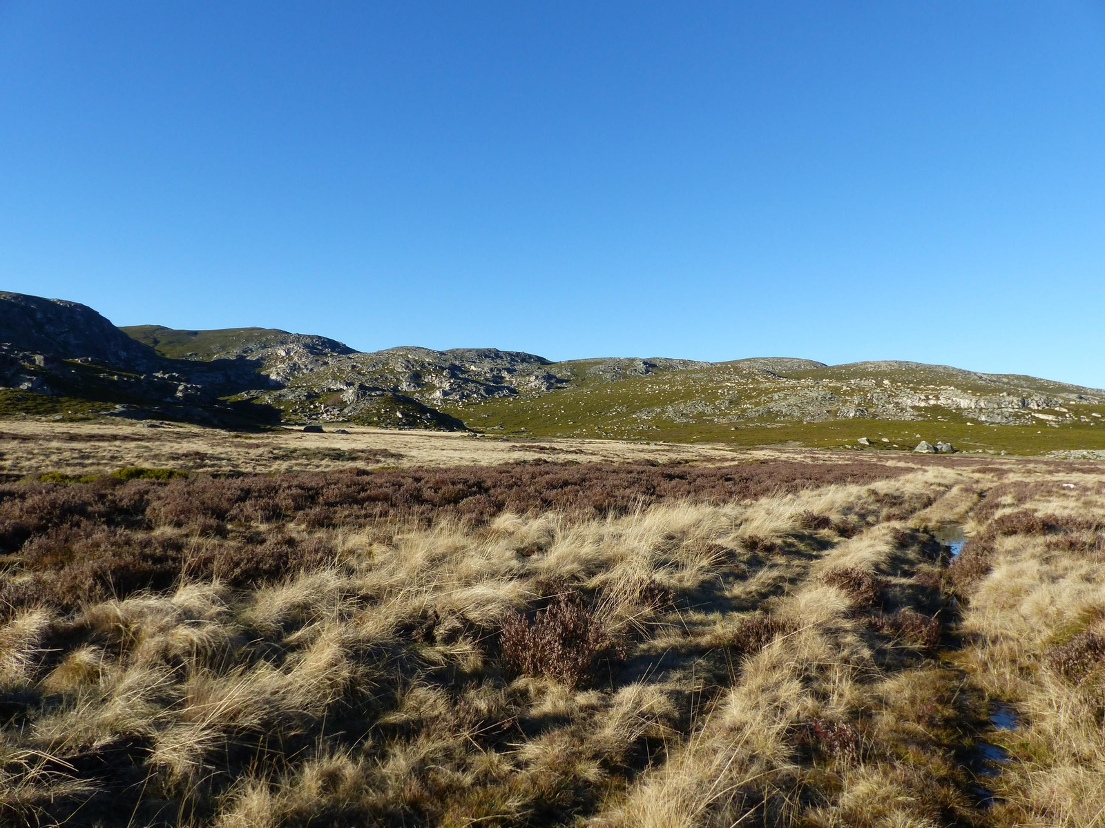 Val gracial do Cenza.