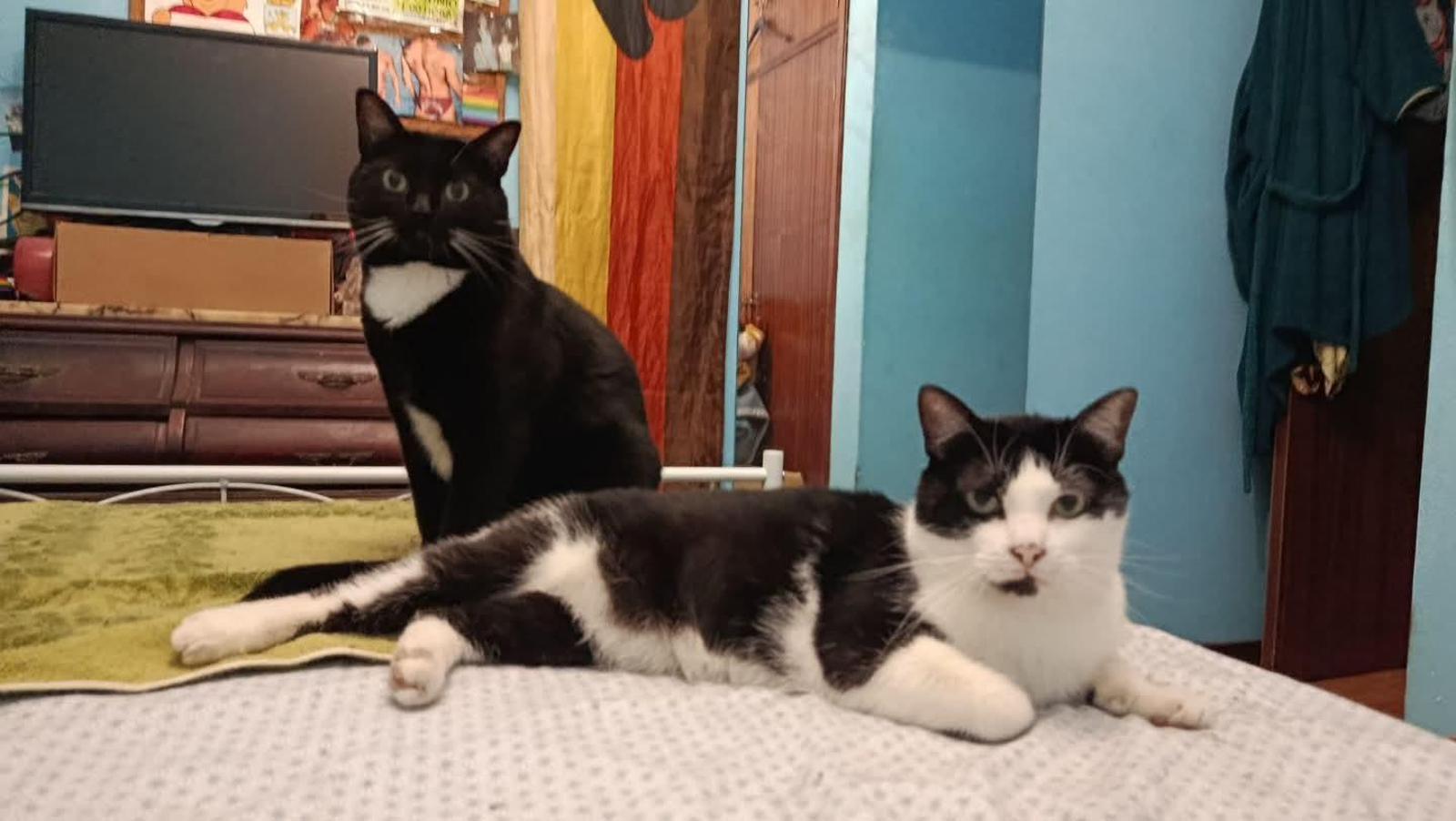 Audrey y Pipo
