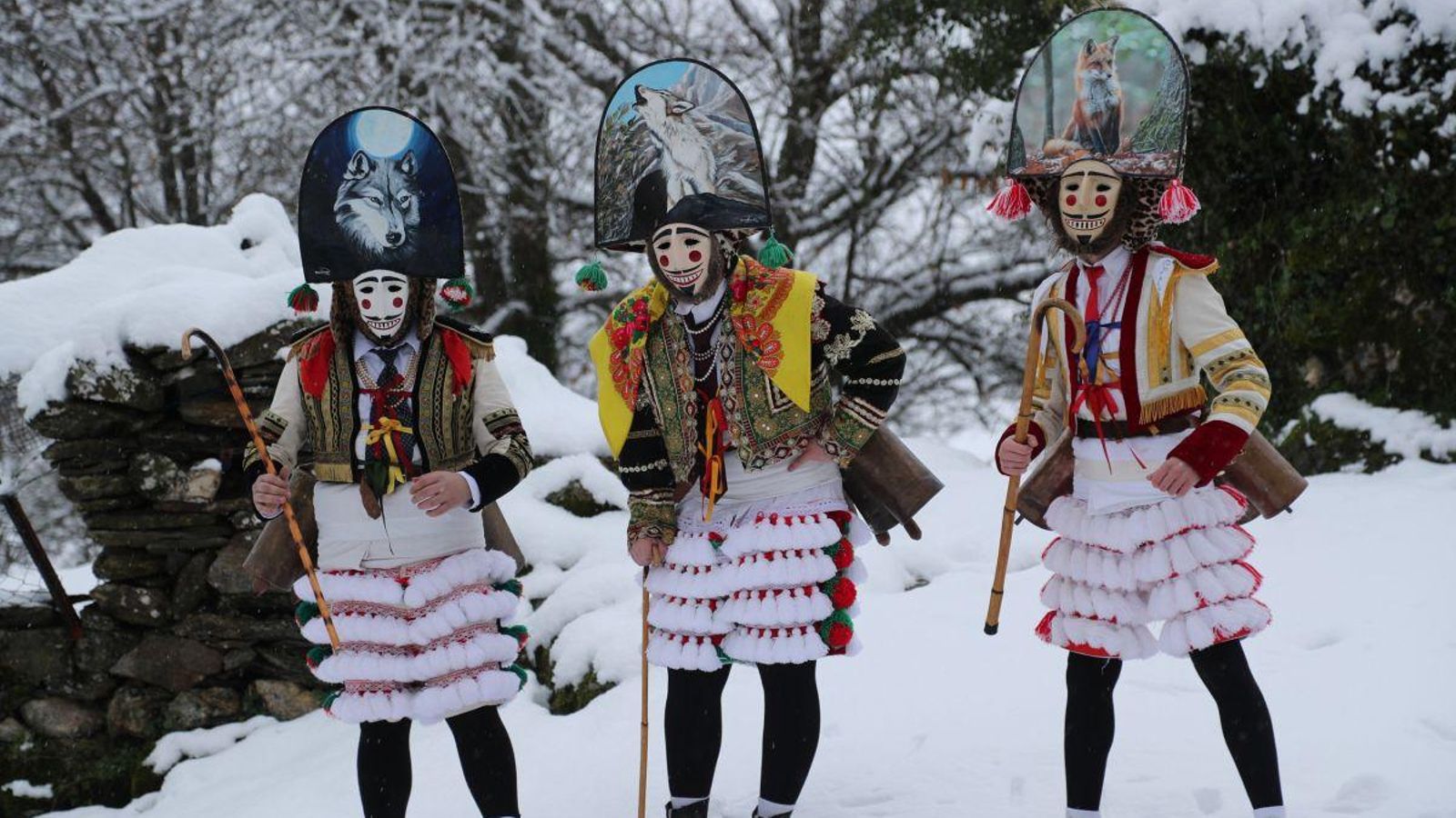 Los Felos no piden permiso, aparecen cuando menos lo esperas