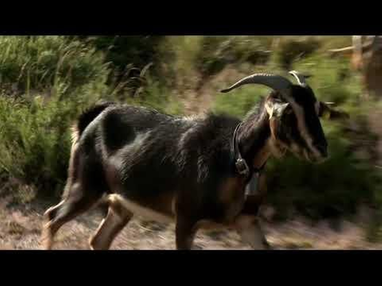 Presentación dos Sendeiros Azuis de 2025 17.01.25