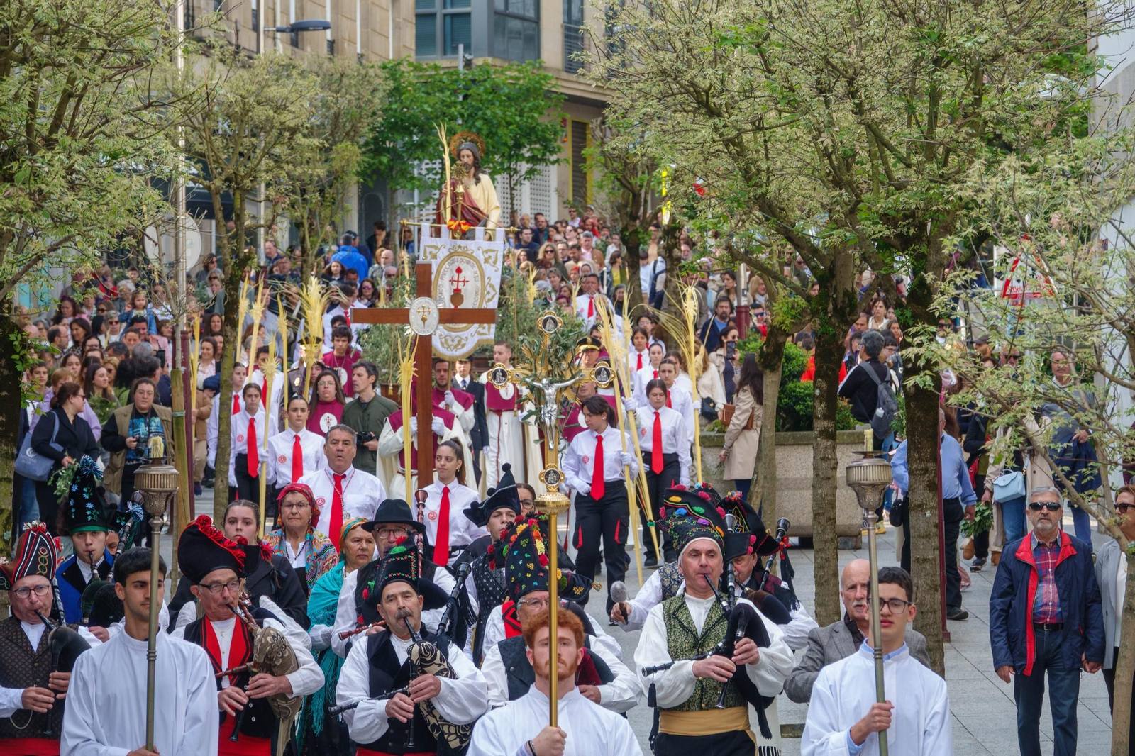 Galería | La procesión de la Borriquita 2025