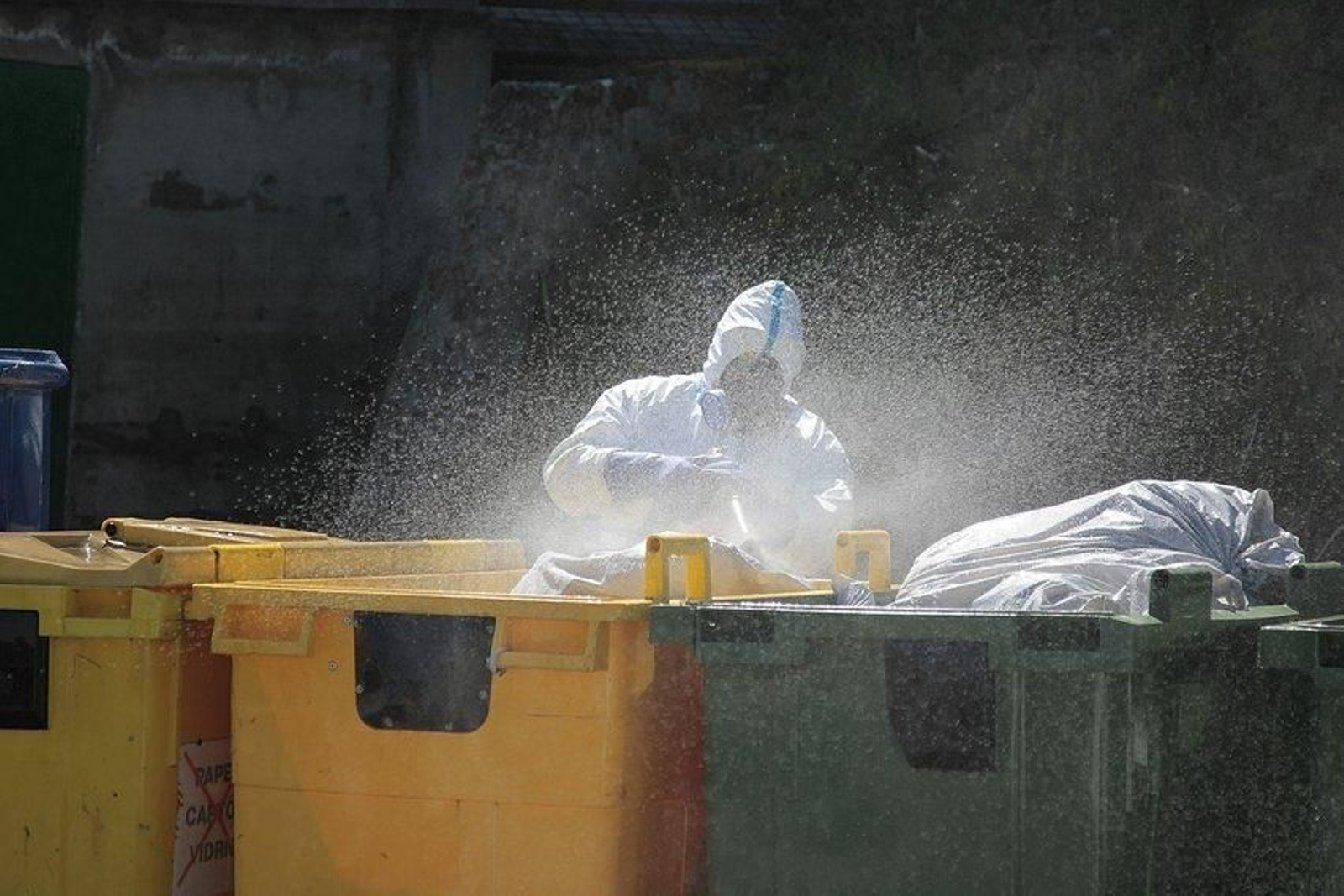 Desinfección de contenedores.