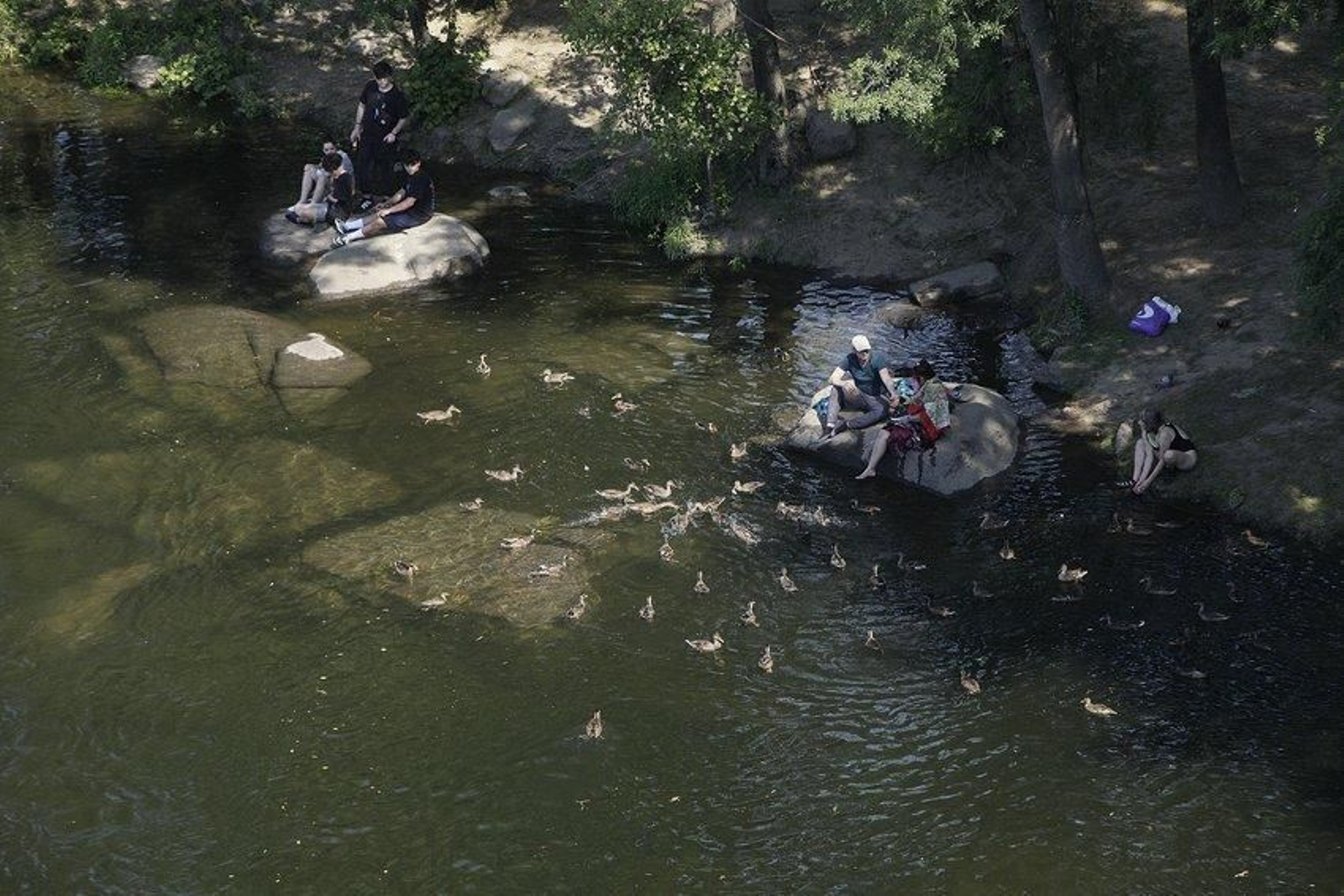 Ourense supera los 38 grados en un día en el que de nuevo marca la máxima gallega // Miguel Ángel