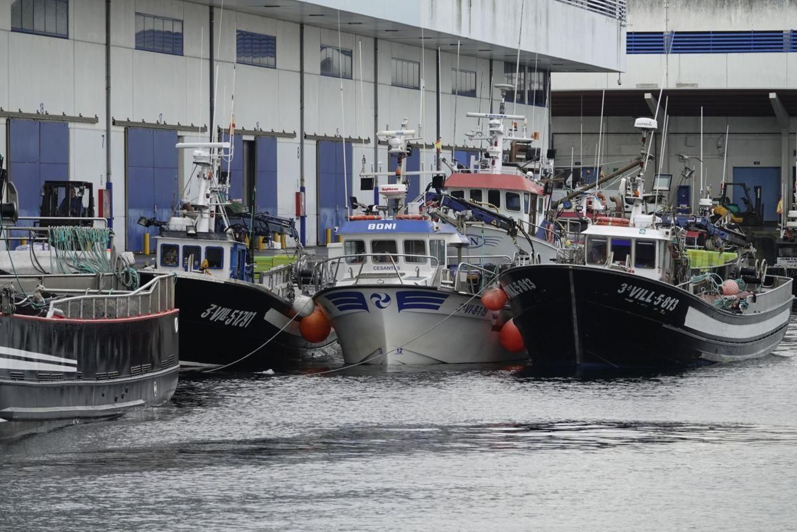 Barcos pesqueros amarrados junto a la lonja de Vigo en el Berbés.