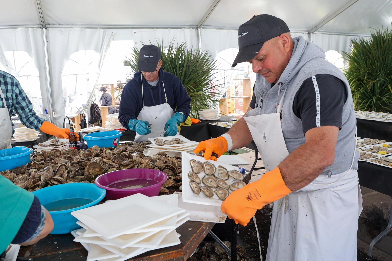 Arcade despacha más de 40.000 ostras en el día grande de su fiesta