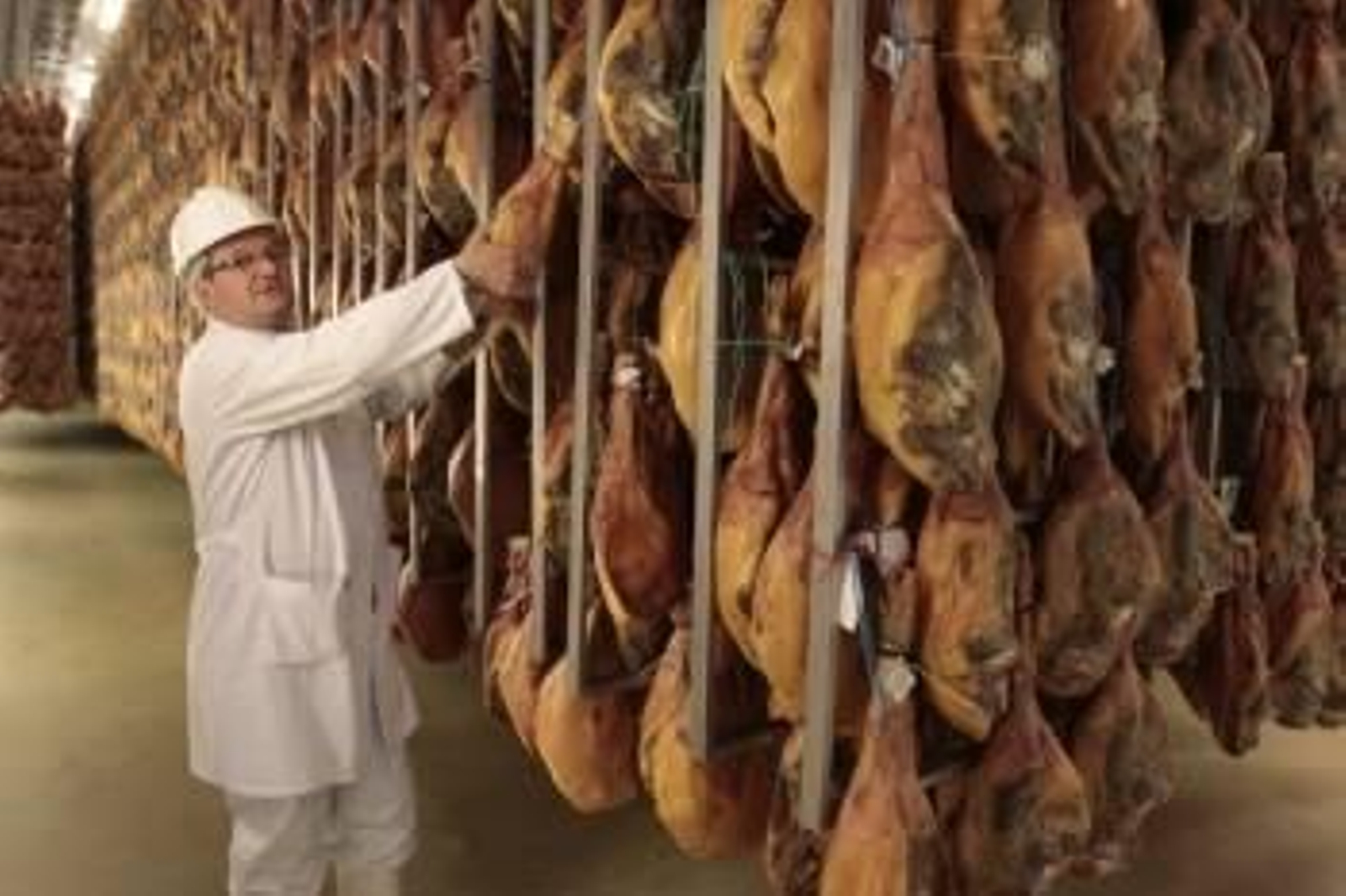 Secadero de jamones en las instalaciones de Novafrigsa, que el grupo Coren tiene en Lugo.  (Foto: XESÚS FARIÑAS)