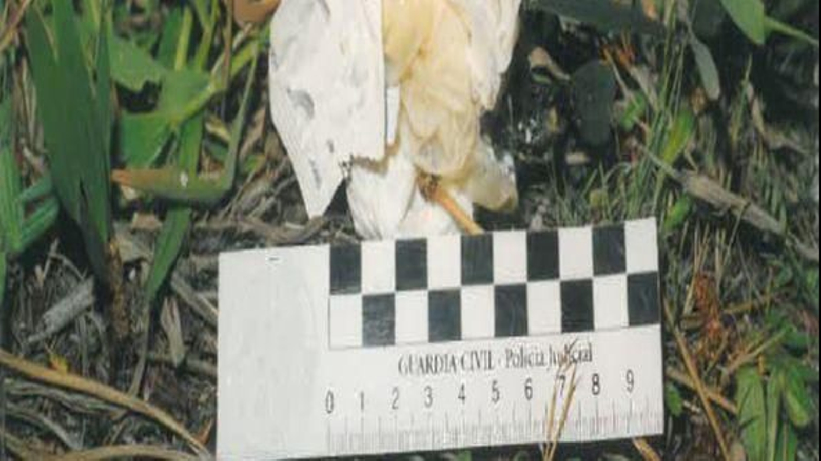 Escena del hallazgo del cadáver que, tal y como se especifica, examinó en su momento la Guardia Civil.