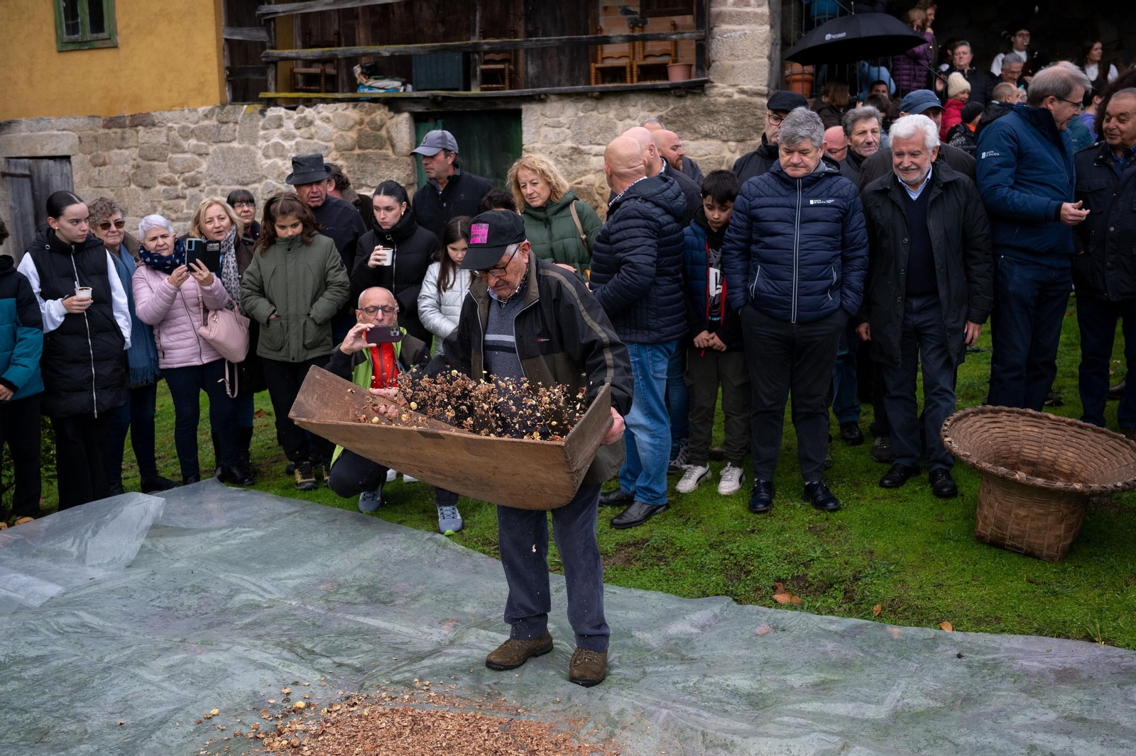 Galería | Festa da Pisa da Castaña
