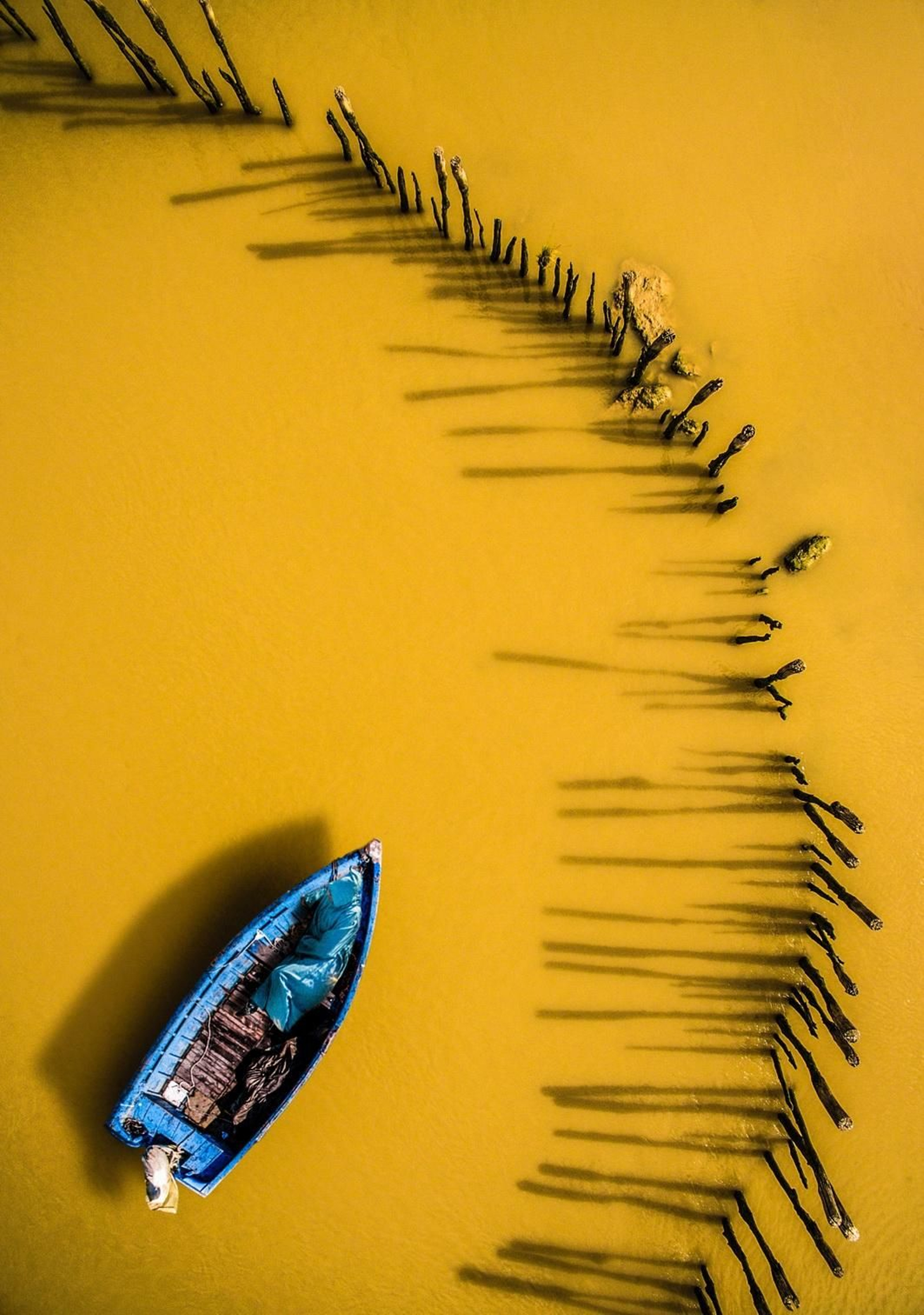 “Quietud”, de Francisco Javier Domínguez, de Jerez.