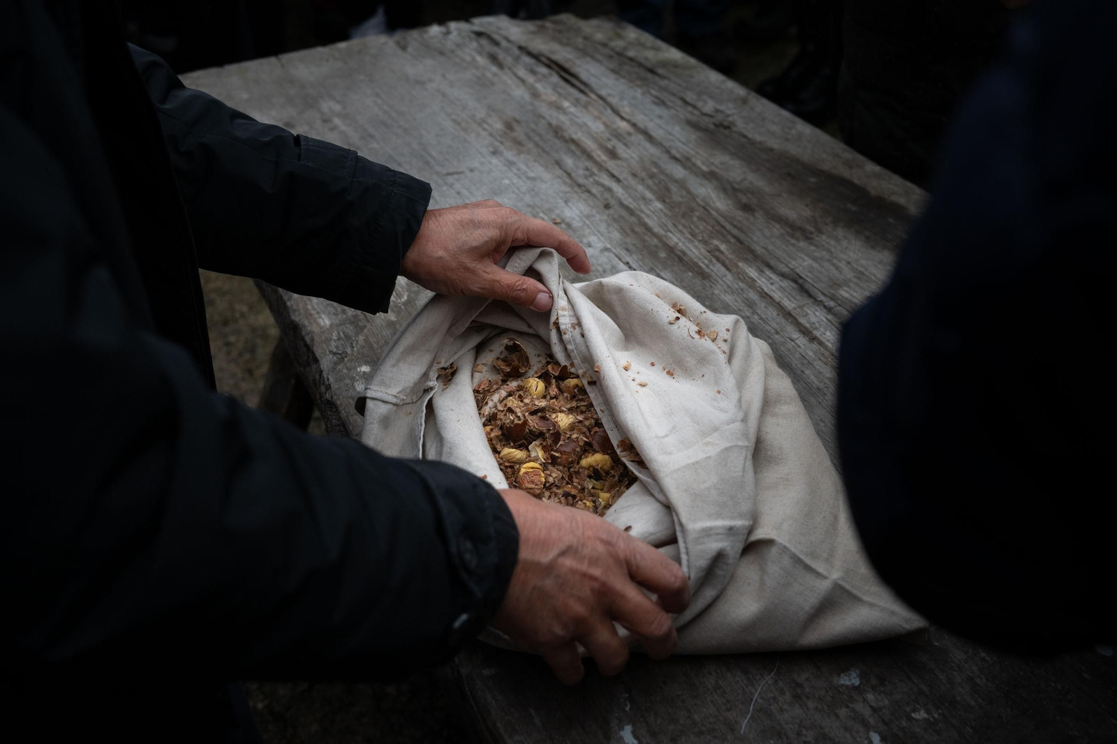 Galería | Festa da Pisa da Castaña