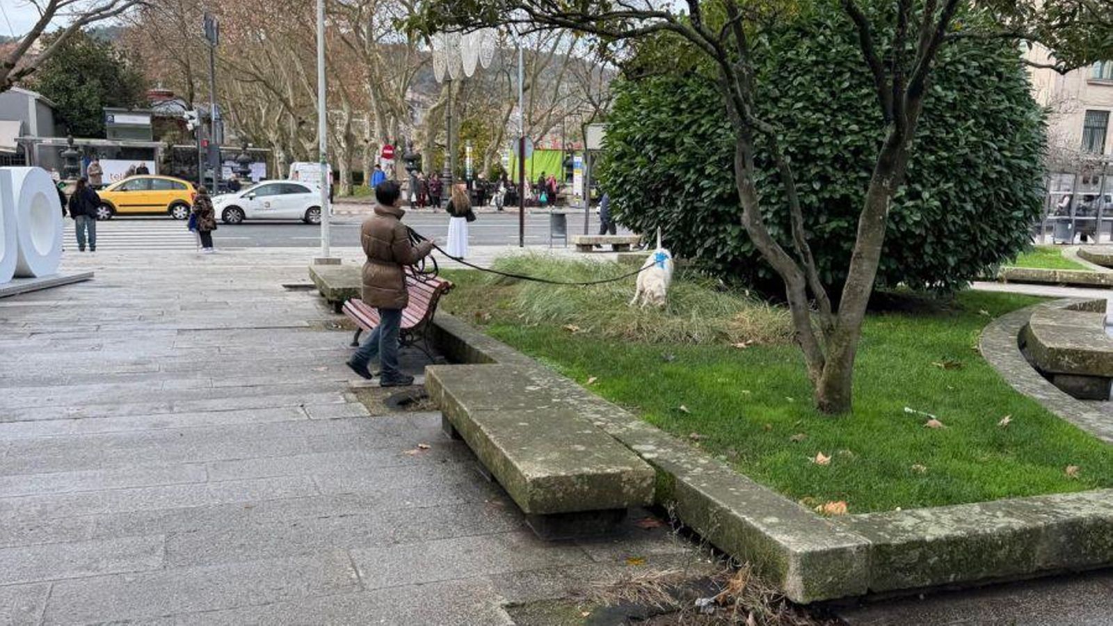 Ejemplo de incivismo