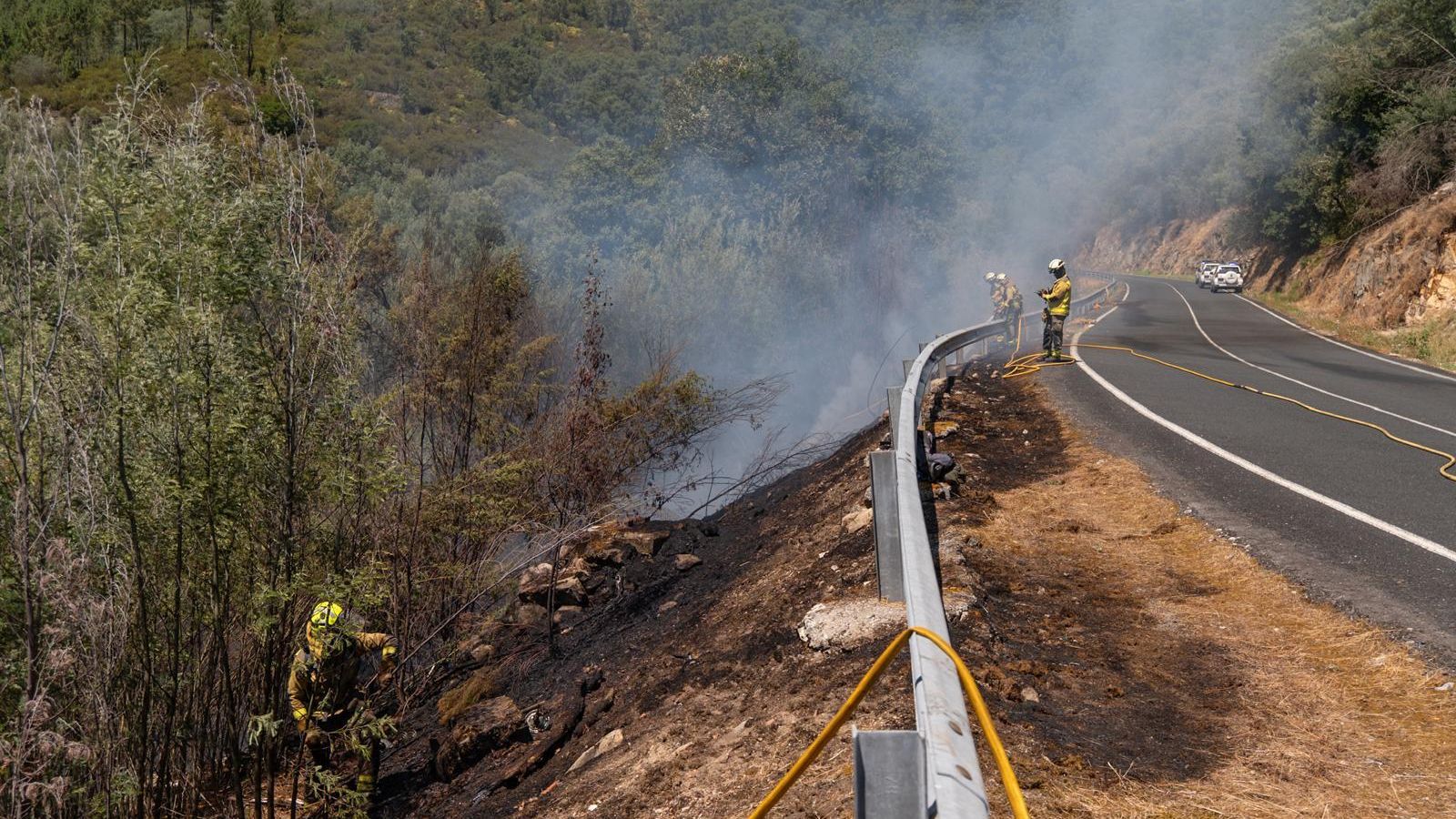 Diferentes agentes trabajando en la extinción de las llamas.