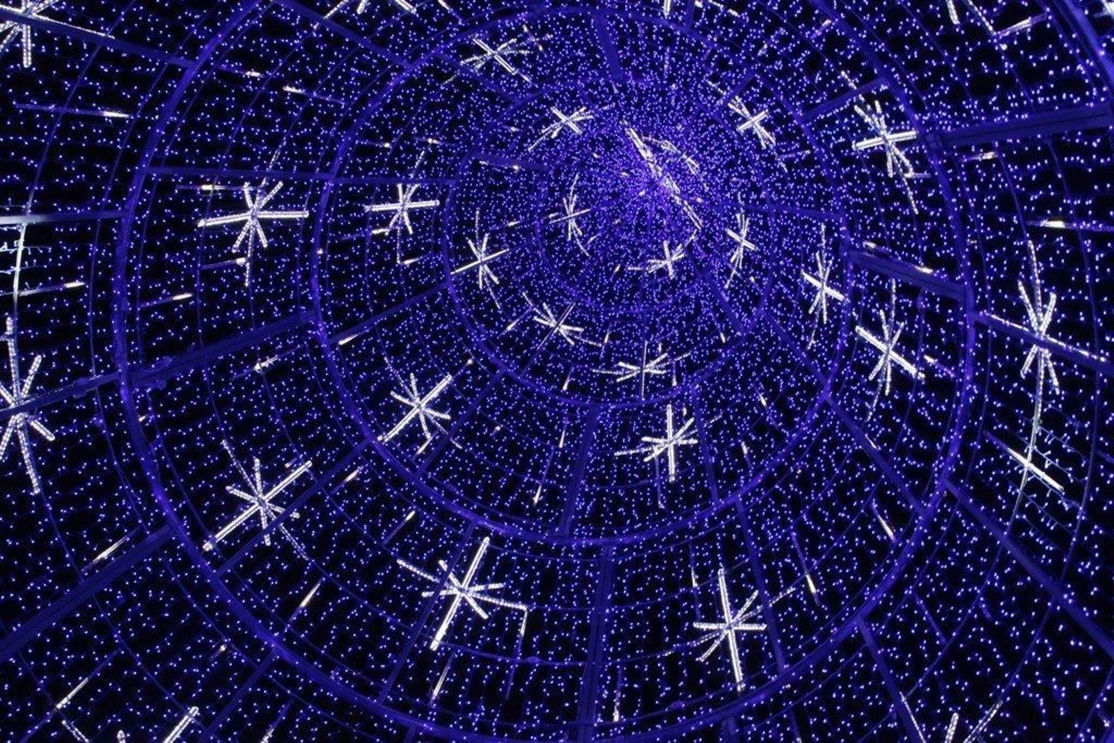 Encendido de las luces de Navidad Foto JV Landín 105