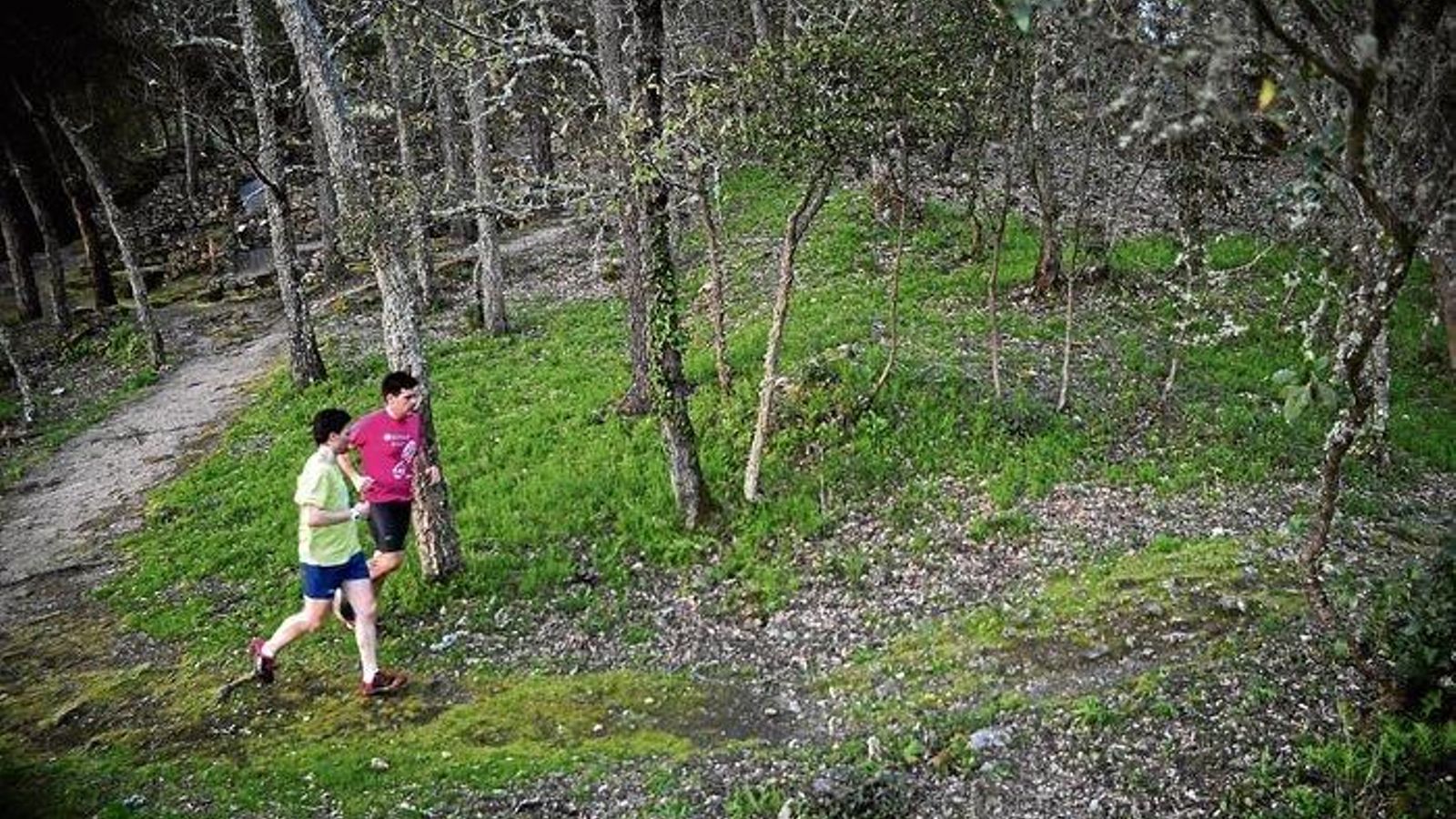 SAN TOMÉ (OURENSE).- Reportaje castros; castro de San Tomé (GA32054010). José Paz