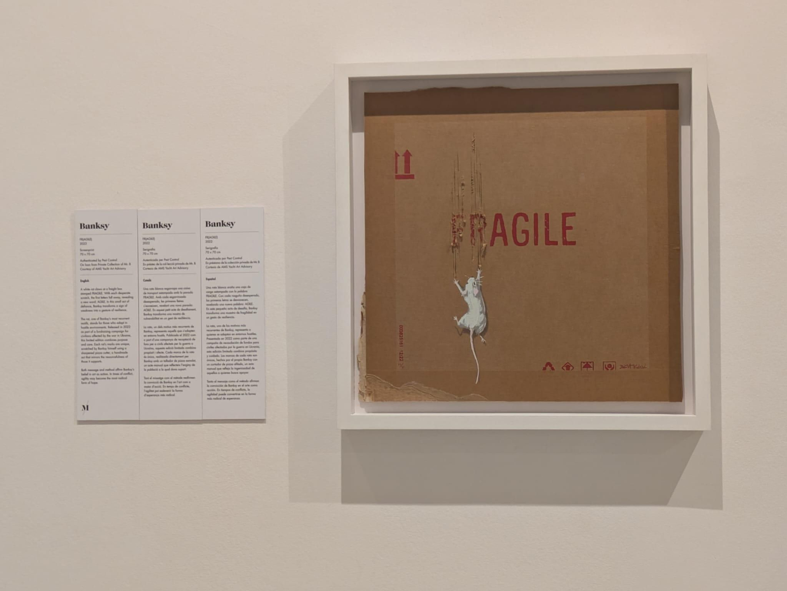 Bansky creó una serie de serigrafías, de edición limitada, cuya venta se destinó al apoyo del pueblo de Ucrania.  Las obras de arte muestran un ratón arañando el lateral de una caja con la palabra "Frágil" escrita en ella.