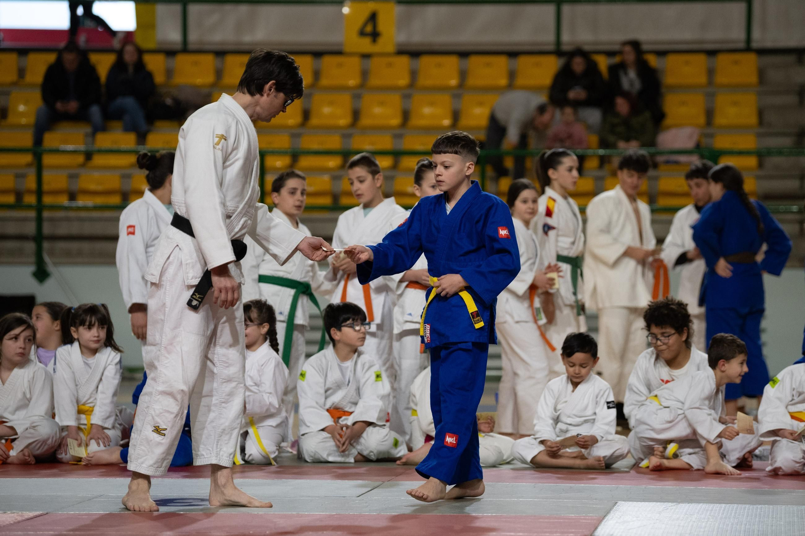 Galería | El judo arranca una edición más de su Copa Diputación