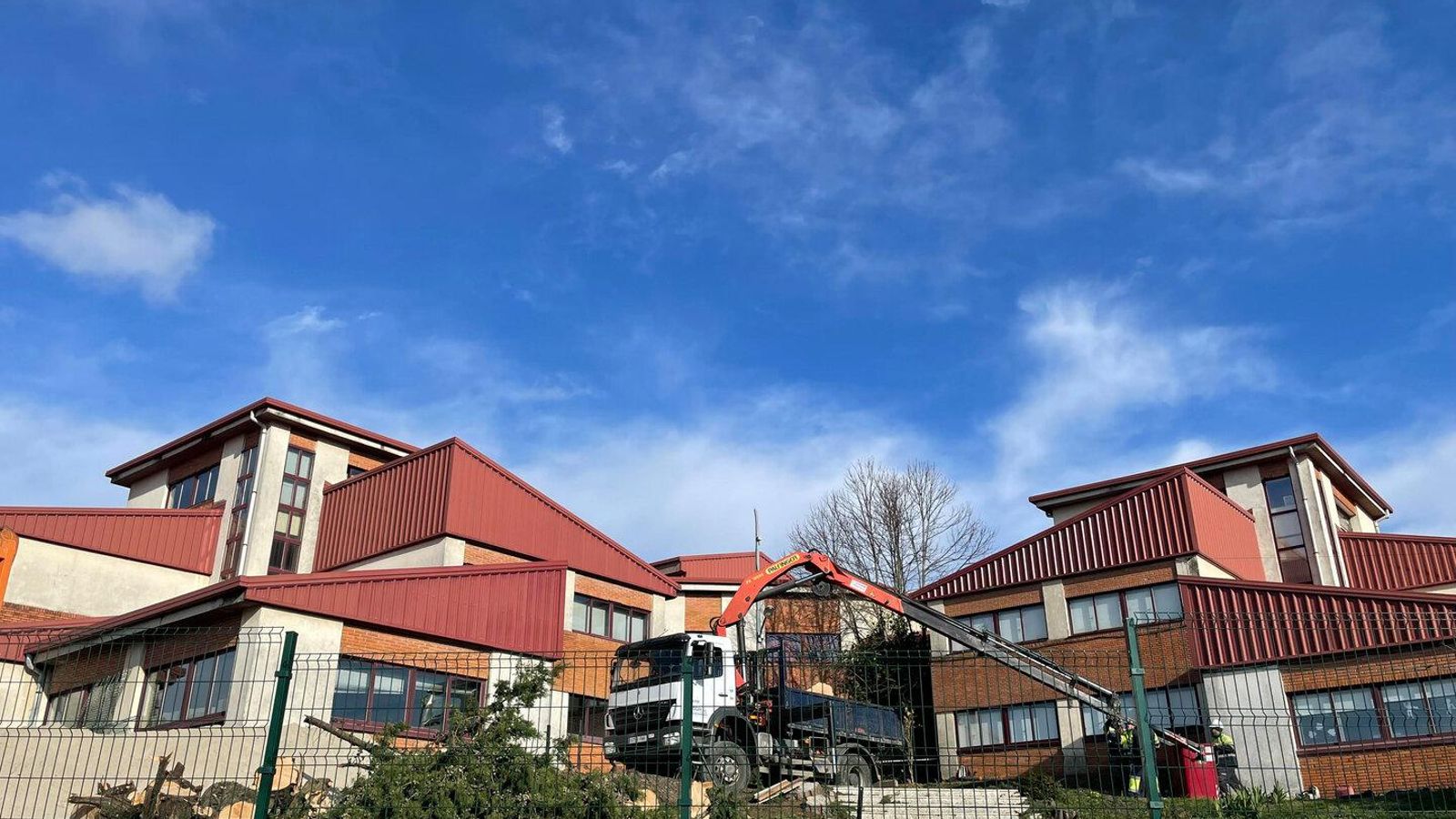 Las máquinas trabajan en el centro para terminar de retirar los árboles.