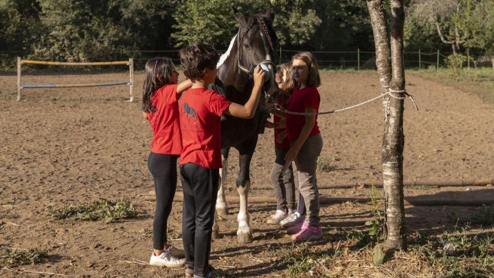 Los niños del campamento preparando los caballos.