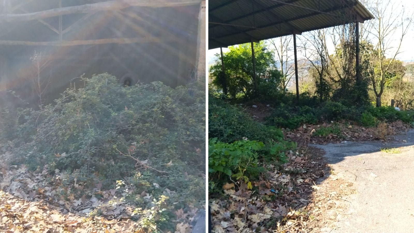 Preocupación en la finca de la Diputación