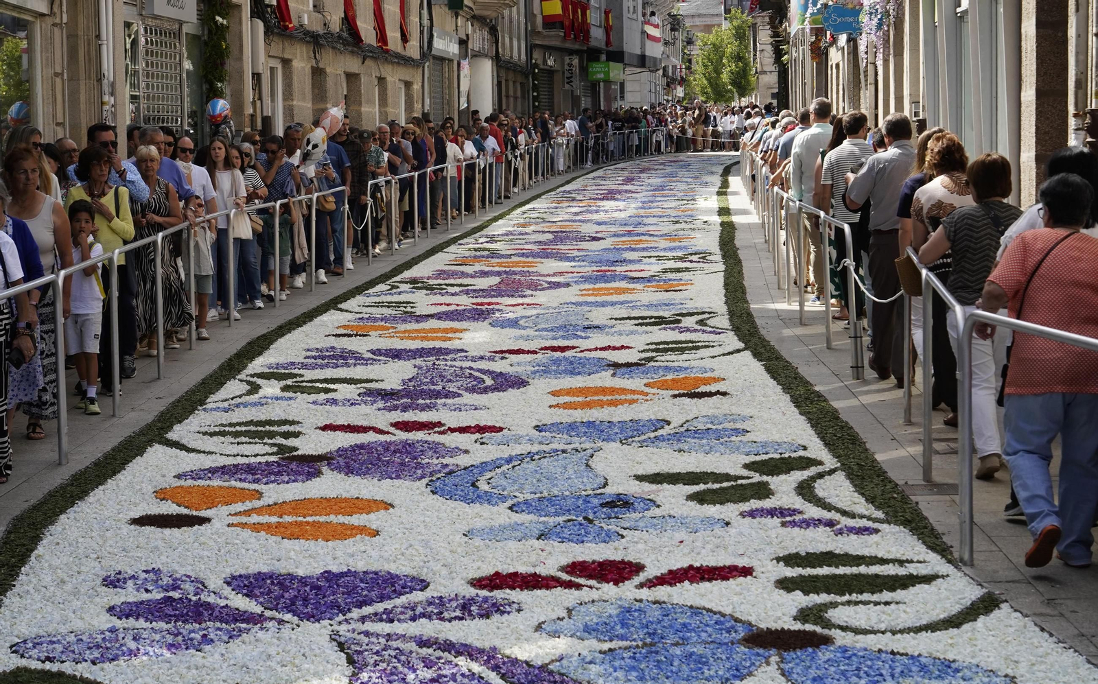 Celebración del Corpus en Ponteareas.