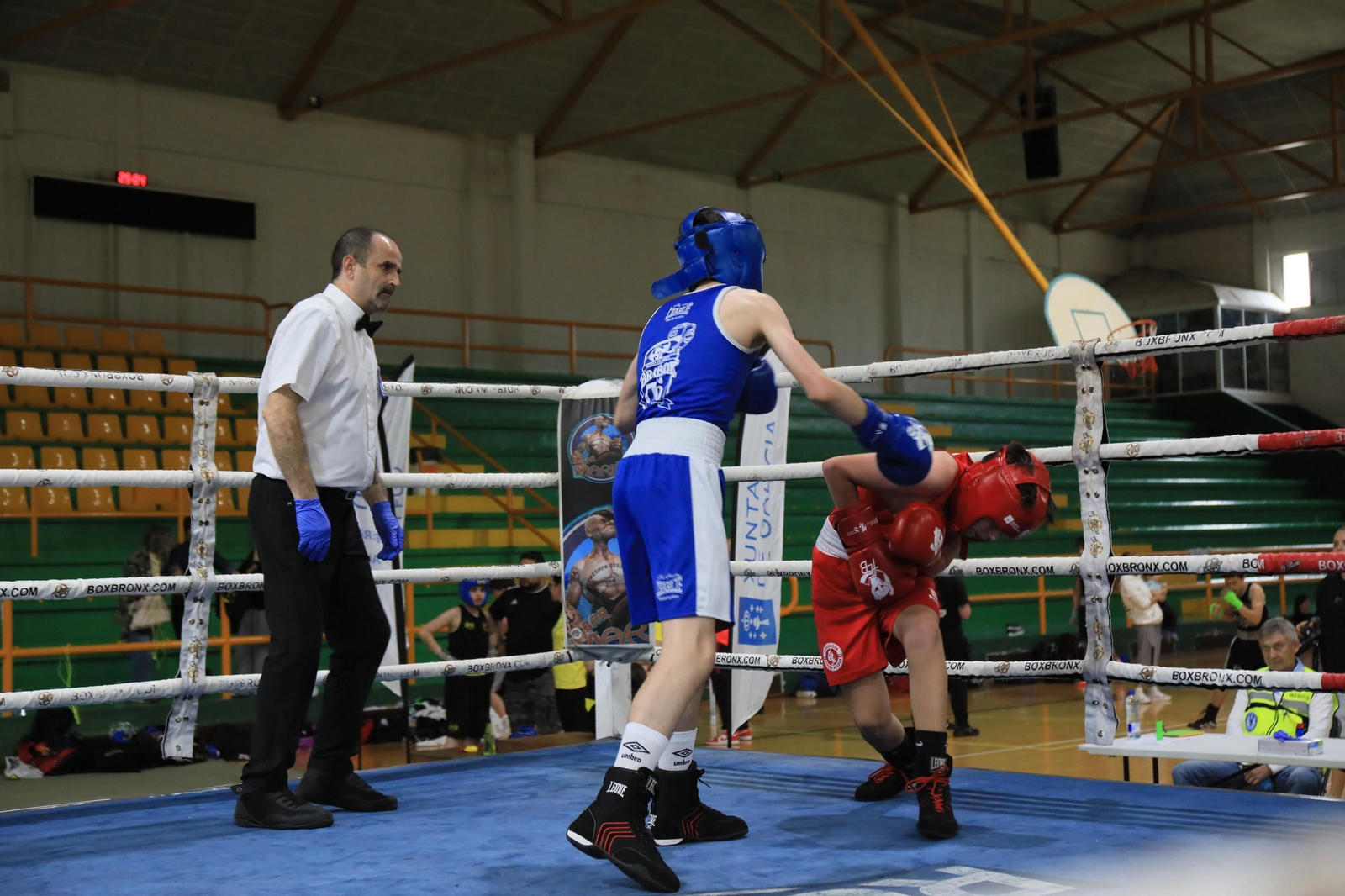 Galería | Verín disfruta de su primer Open de Boxeo