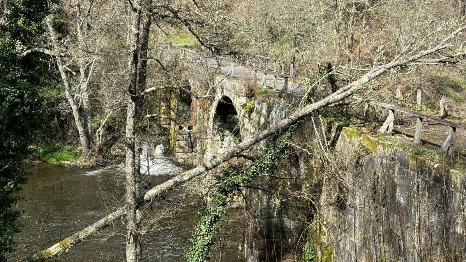Un árbol amenaza el puente romano