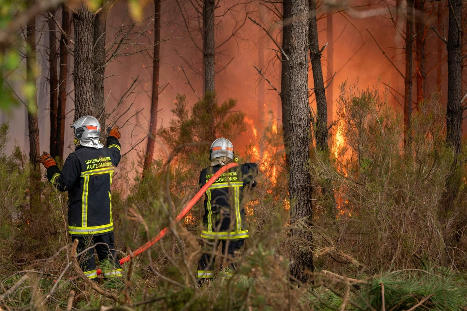 Incendio en la región francesa de Gironda
